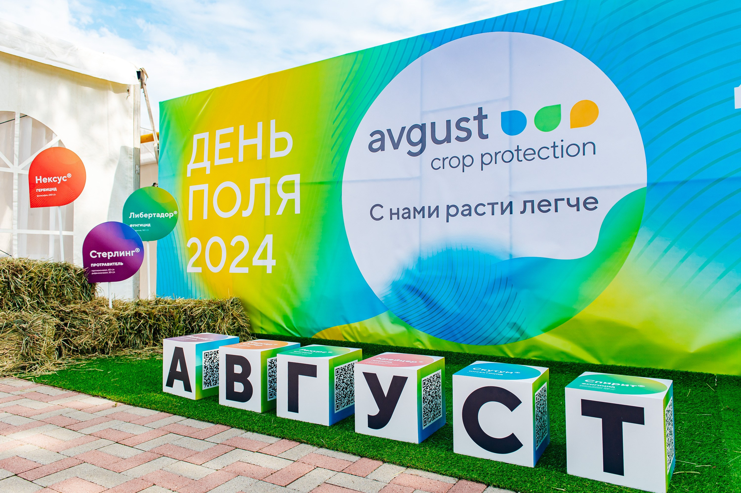 День поля. Главная