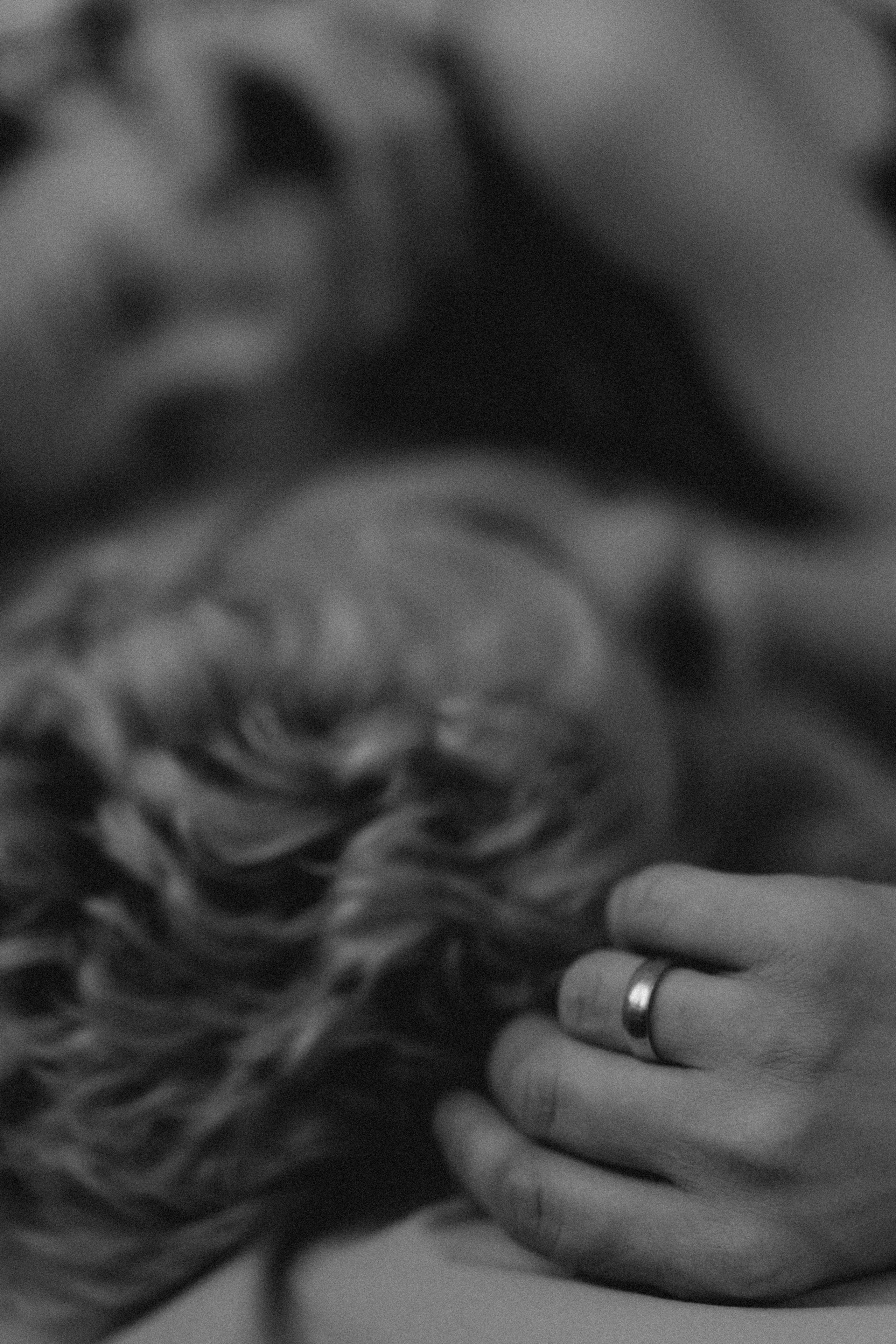 Я. Ты. Пена. Никита Погосов