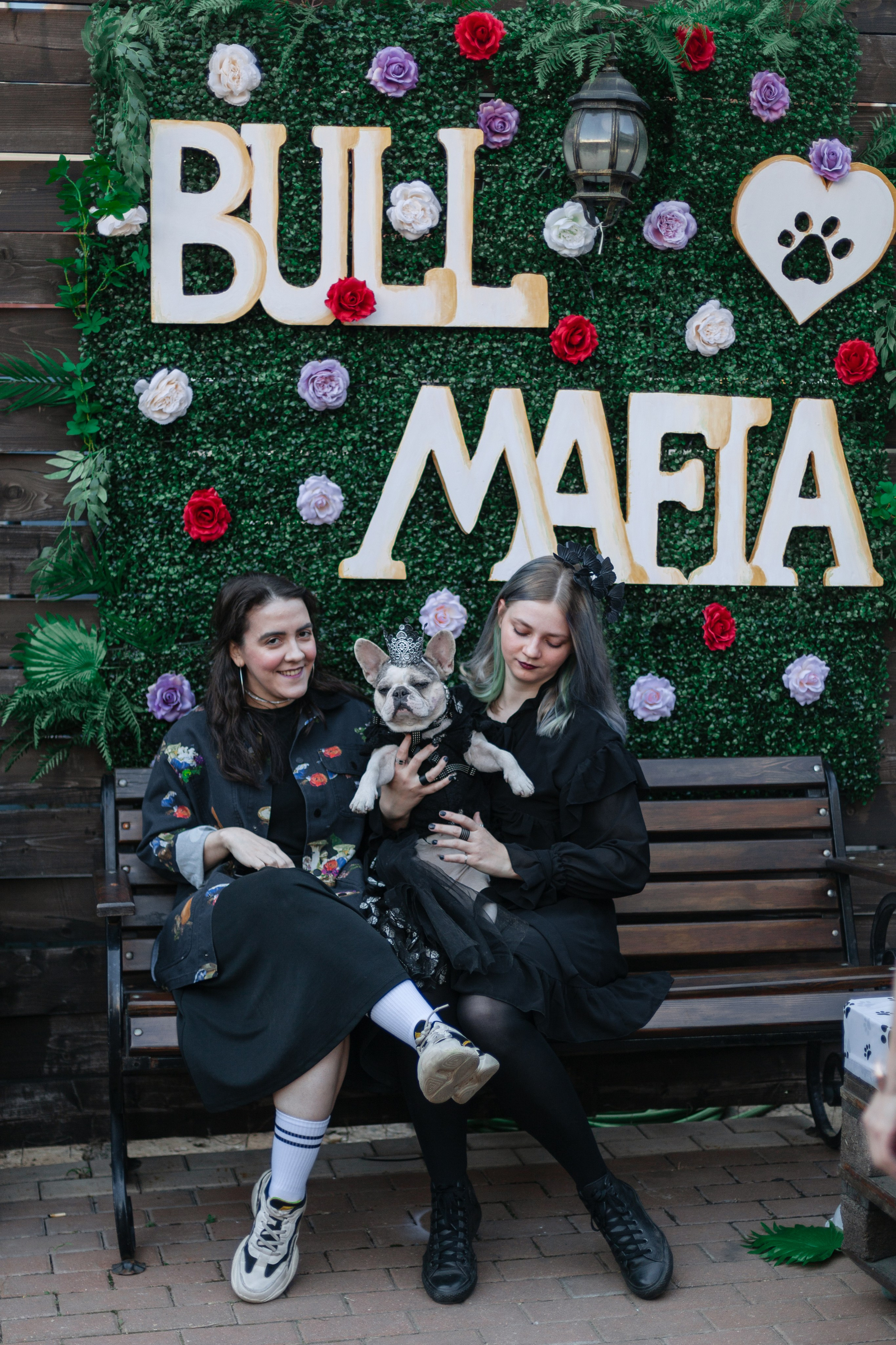 Бульбалл 23.04.2023. Фотограф-анималист Татьяна Степанова