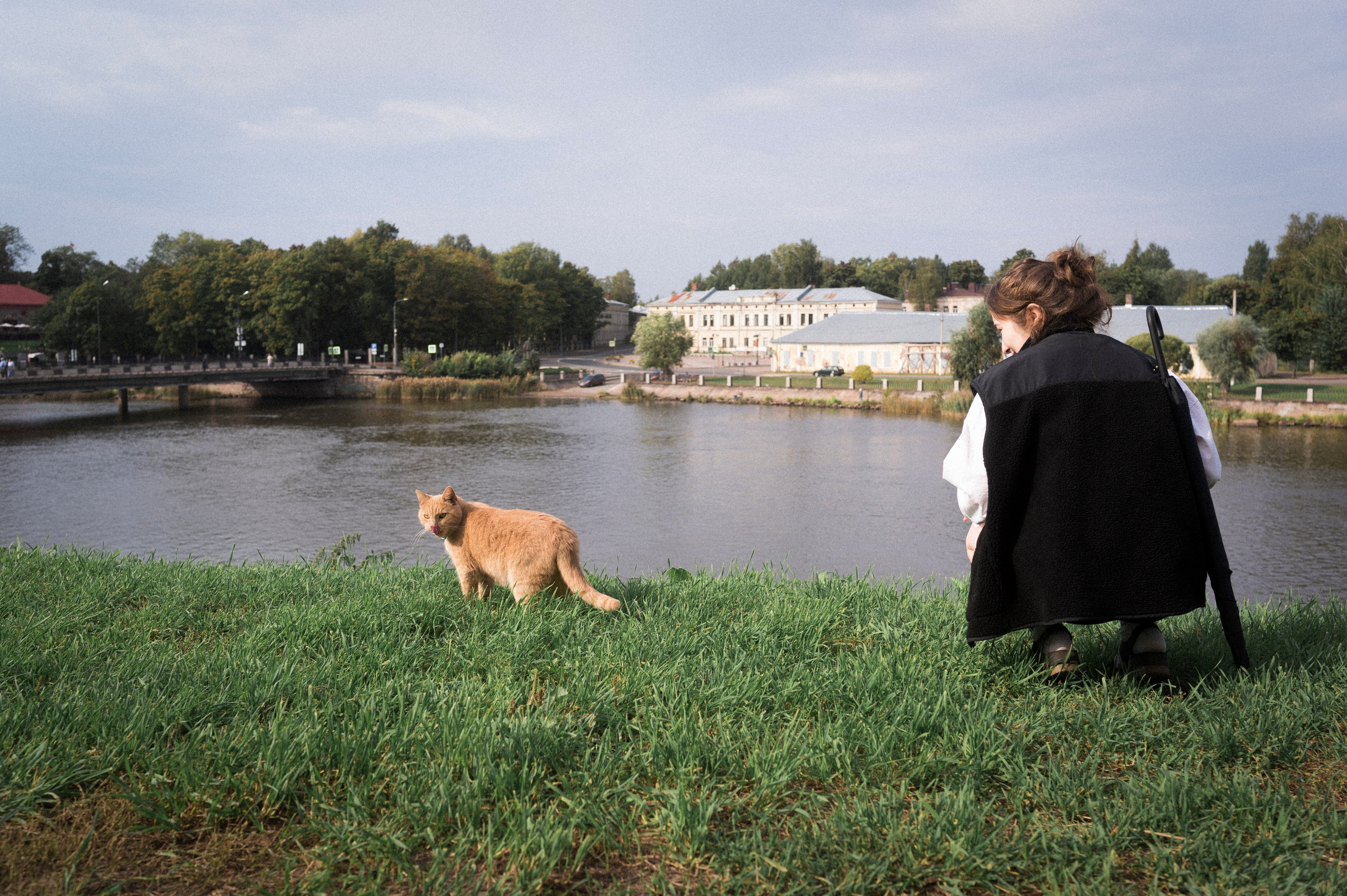 North 2024. Kartascheff