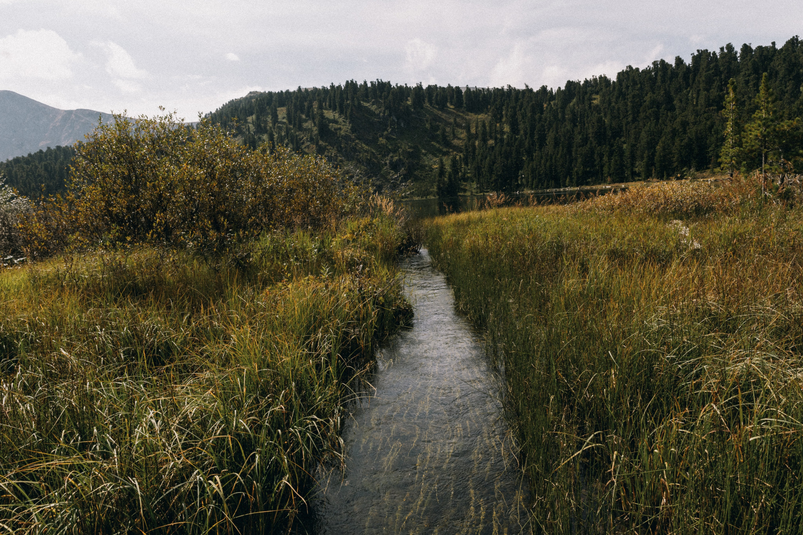 Алтай, природа и эстетика. Александр Чернин. Семейный и событийный фотограф