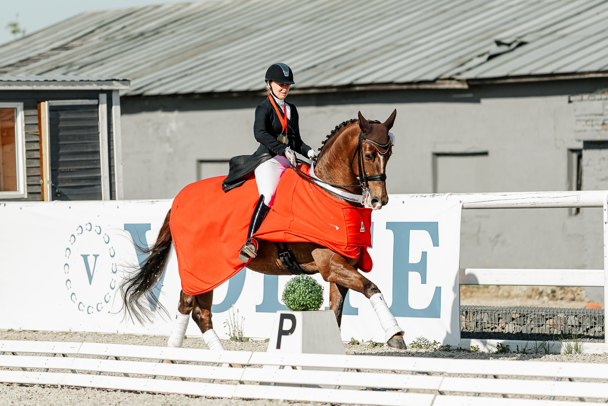 РЕПОРТАЖ МКК ВОЛЬТ «LA TULIPS». Конный фотограф Куракина Дарья • Фотосессии с лошадьми