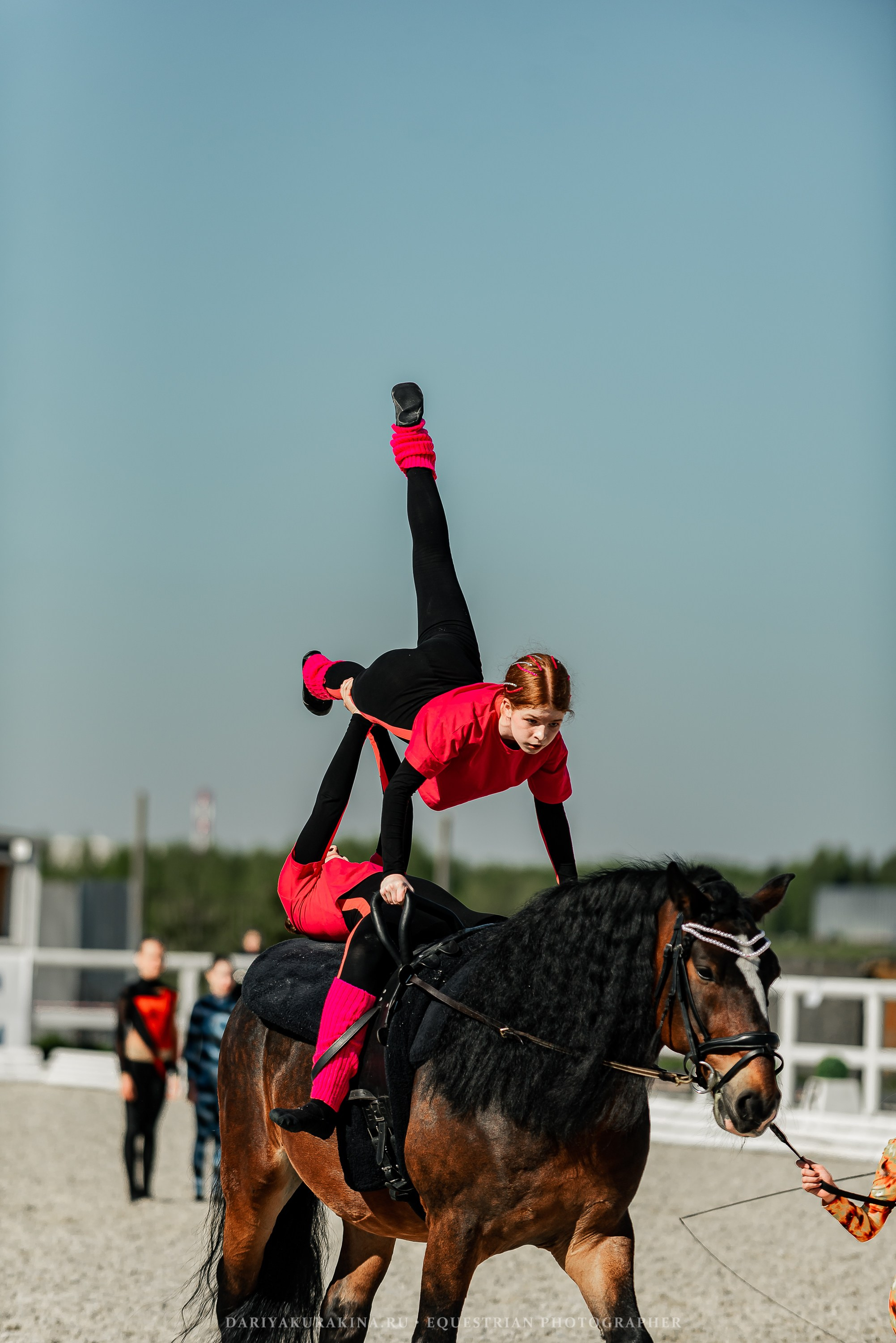 РЕПОРТАЖ МКК ВОЛЬТ «LA TULIPS». Конный фотограф Куракина Дарья • Фотосессии с лошадьми