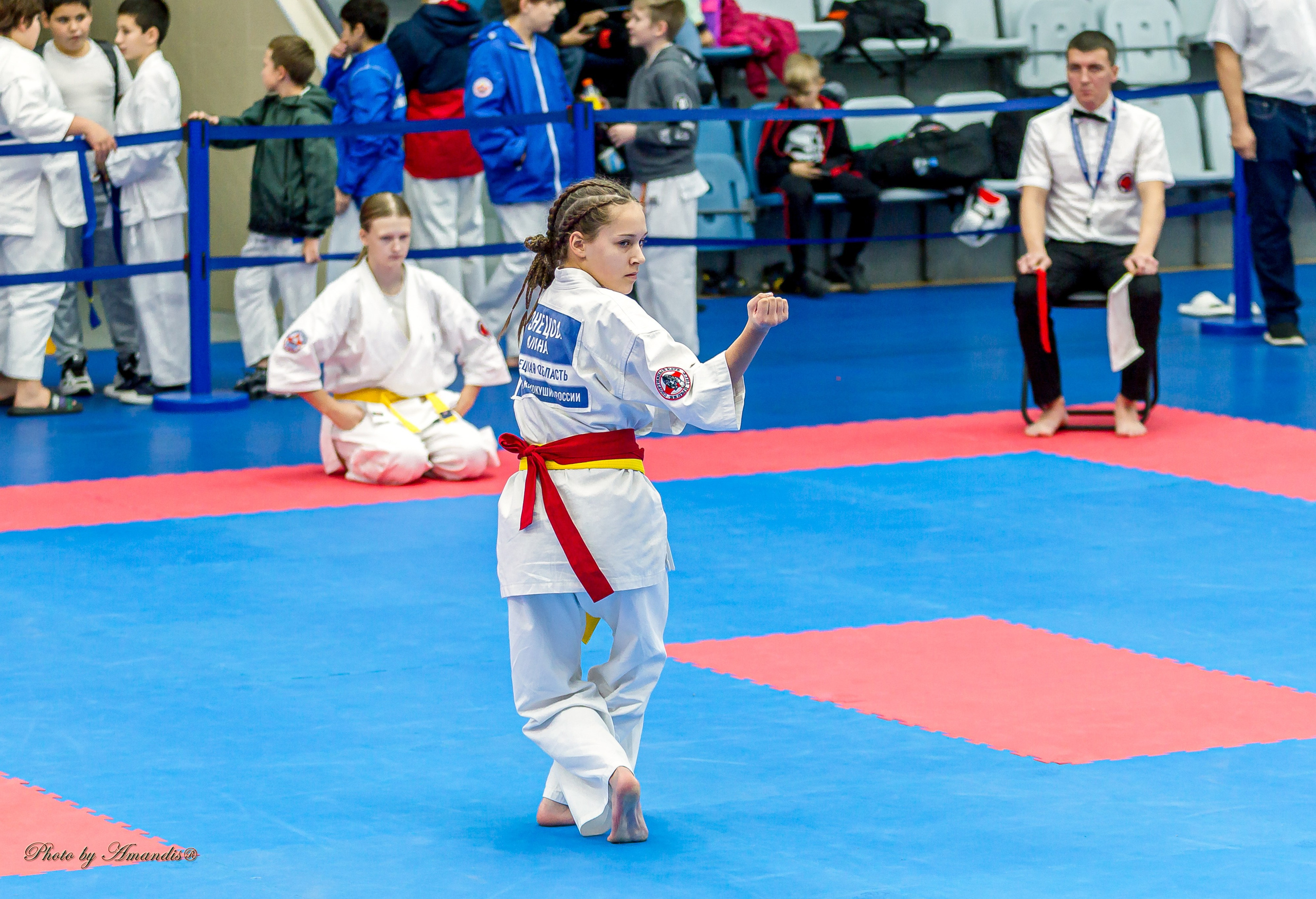 Чемпионат по Киокушинкай Центрального Федерального округа. Репортажная съемка в Москве и области. Анималистика