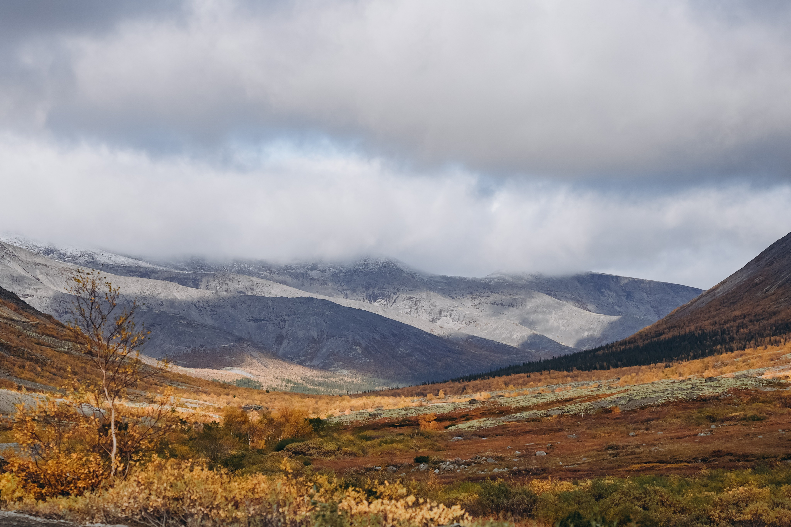 СЕВЕР. Event фотограф Степанова Александра