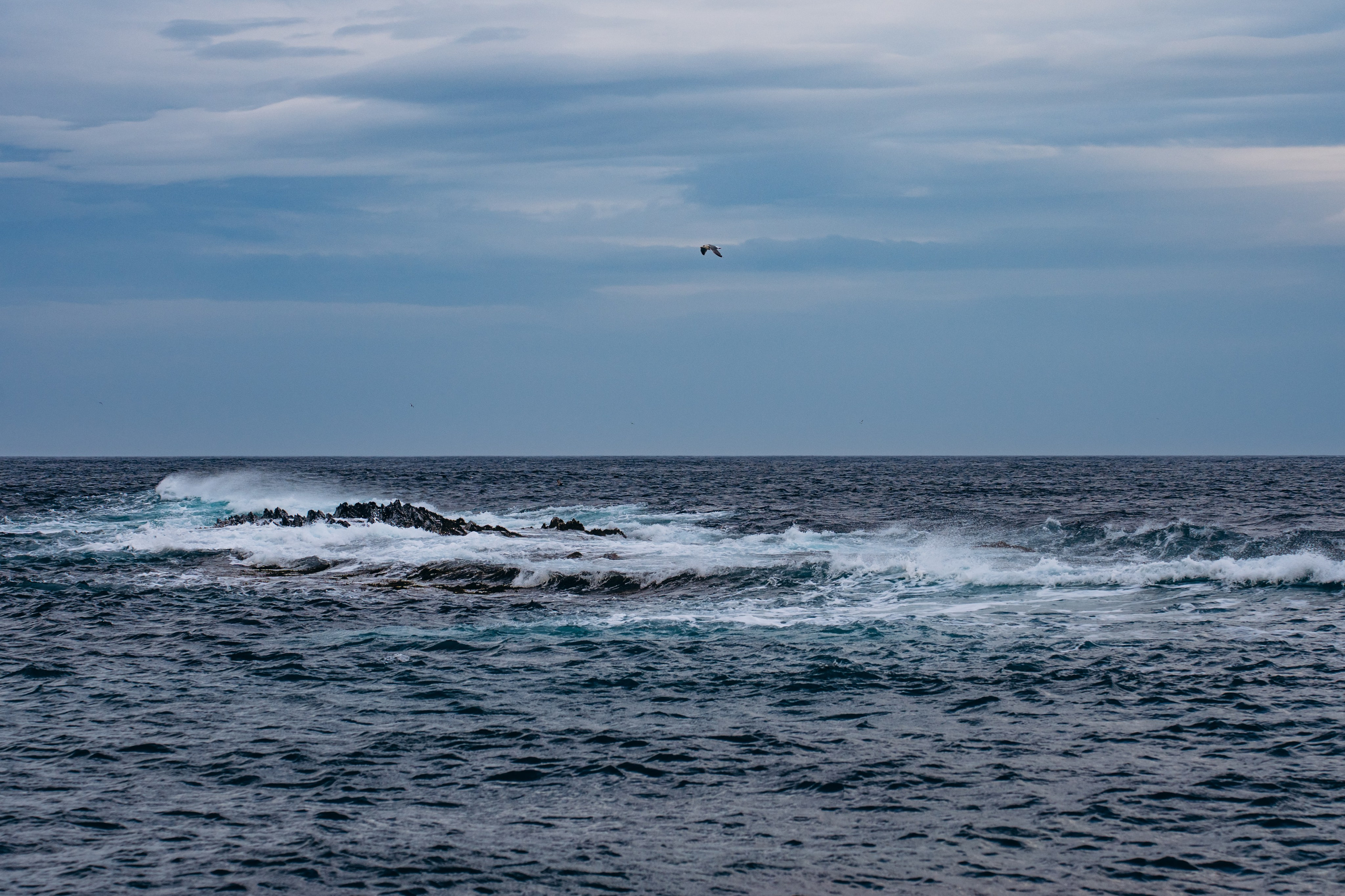СЕВЕР. Event фотограф Степанова Александра