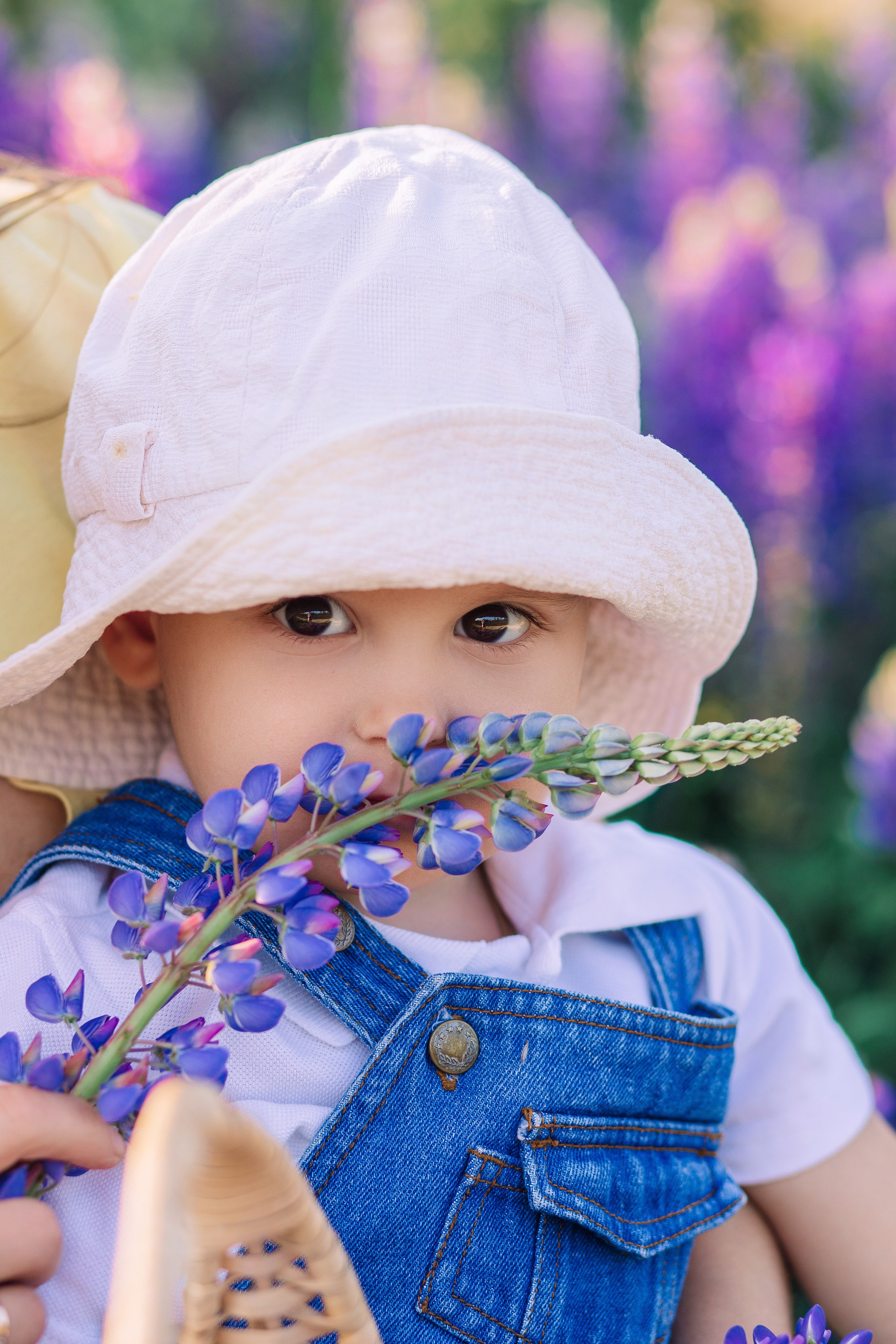 Фотодень в люпинах спб 2024. Фотограф в Санкт-Петербурге, Анна Скворцова