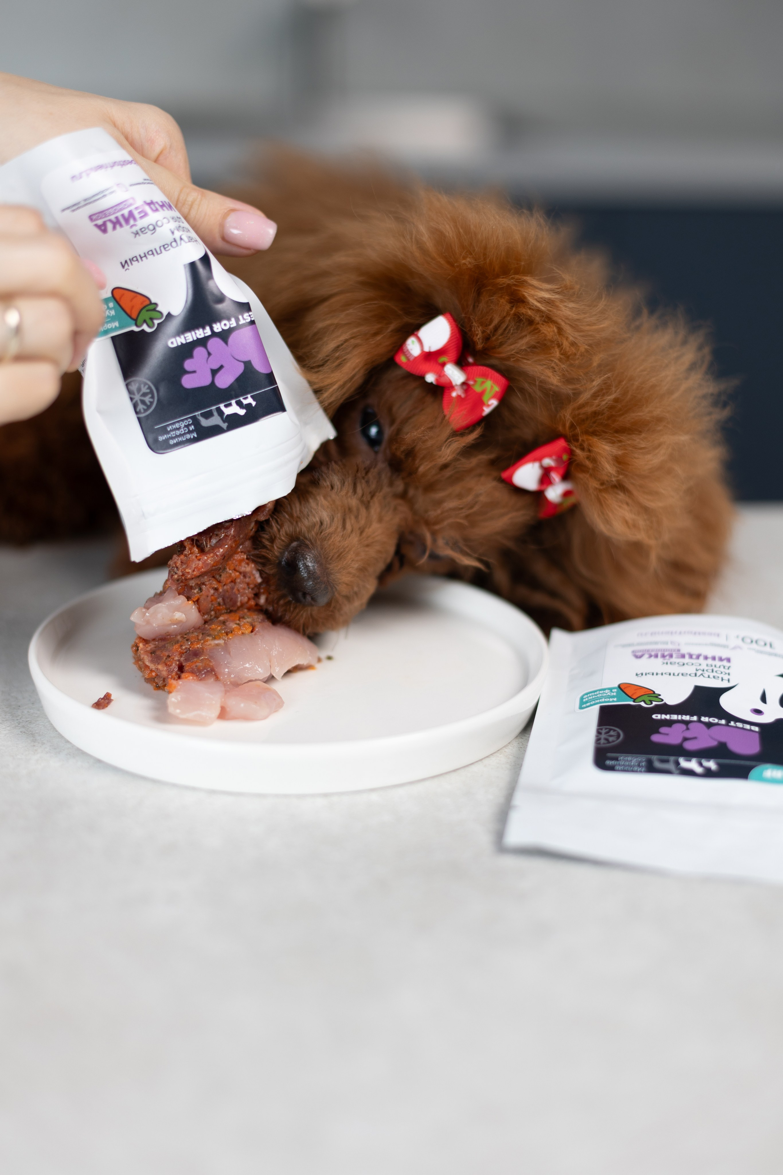 Best for friend (BFF). Фотограф анималист Кристина Карпова, Москва