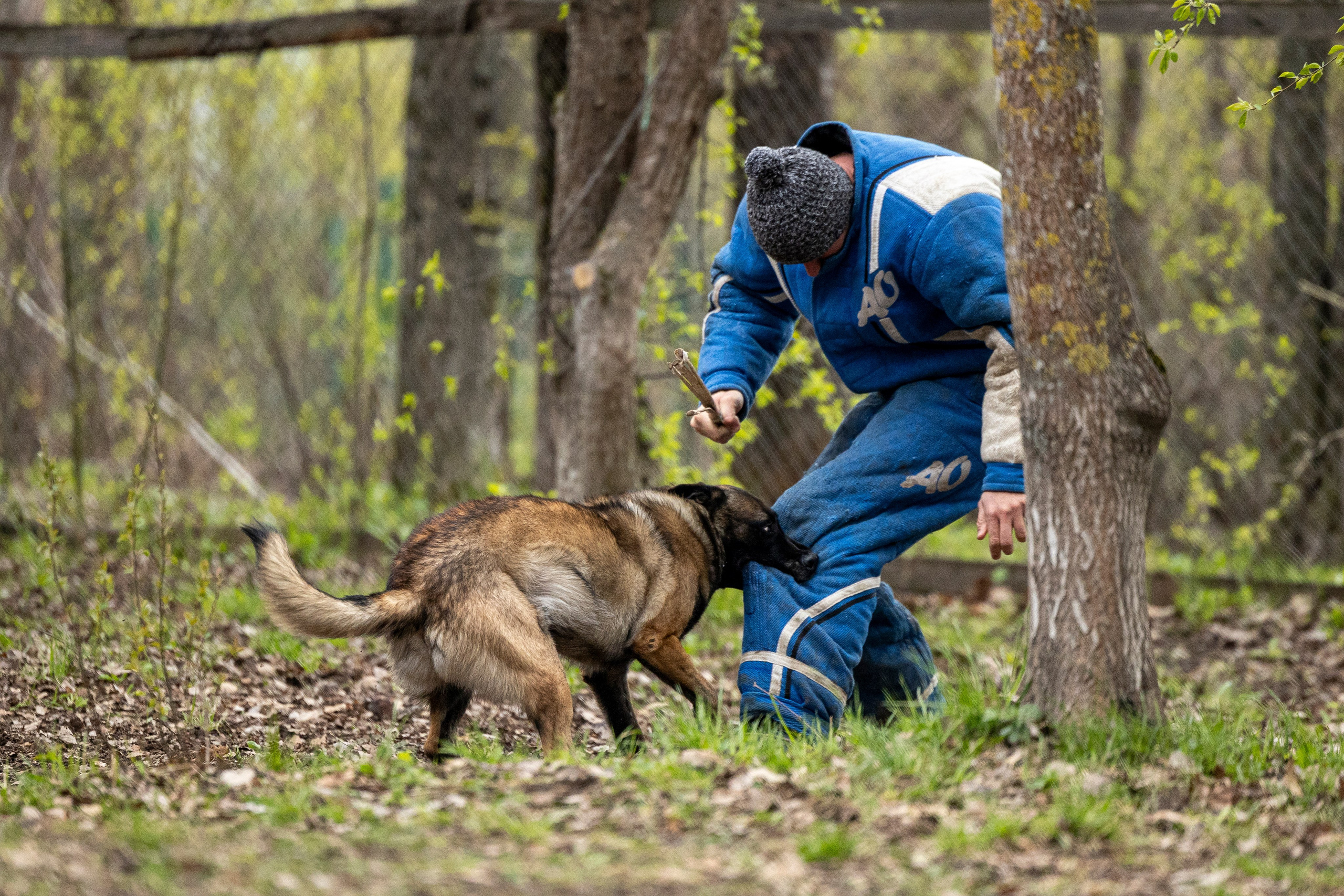 Квалификационные состязания по мондьорингу г. Вологда 11.05.24. Фотограф-анималист Анна Маринич