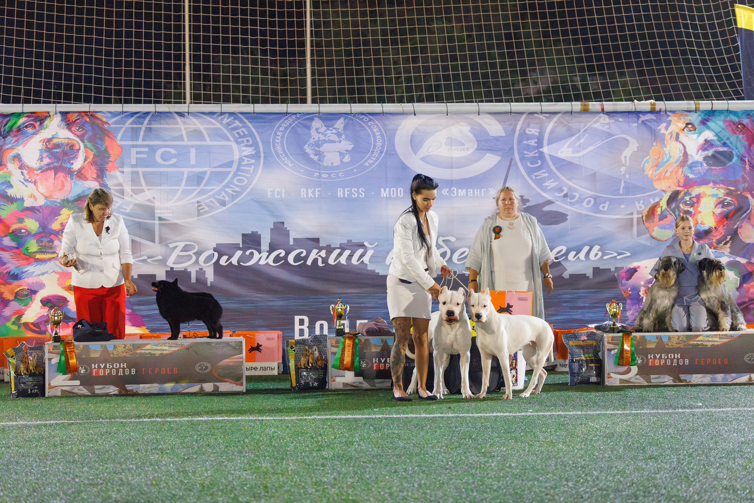 Волгоград 2-4.08.2024. Фотограф-анималист Юлия Германика