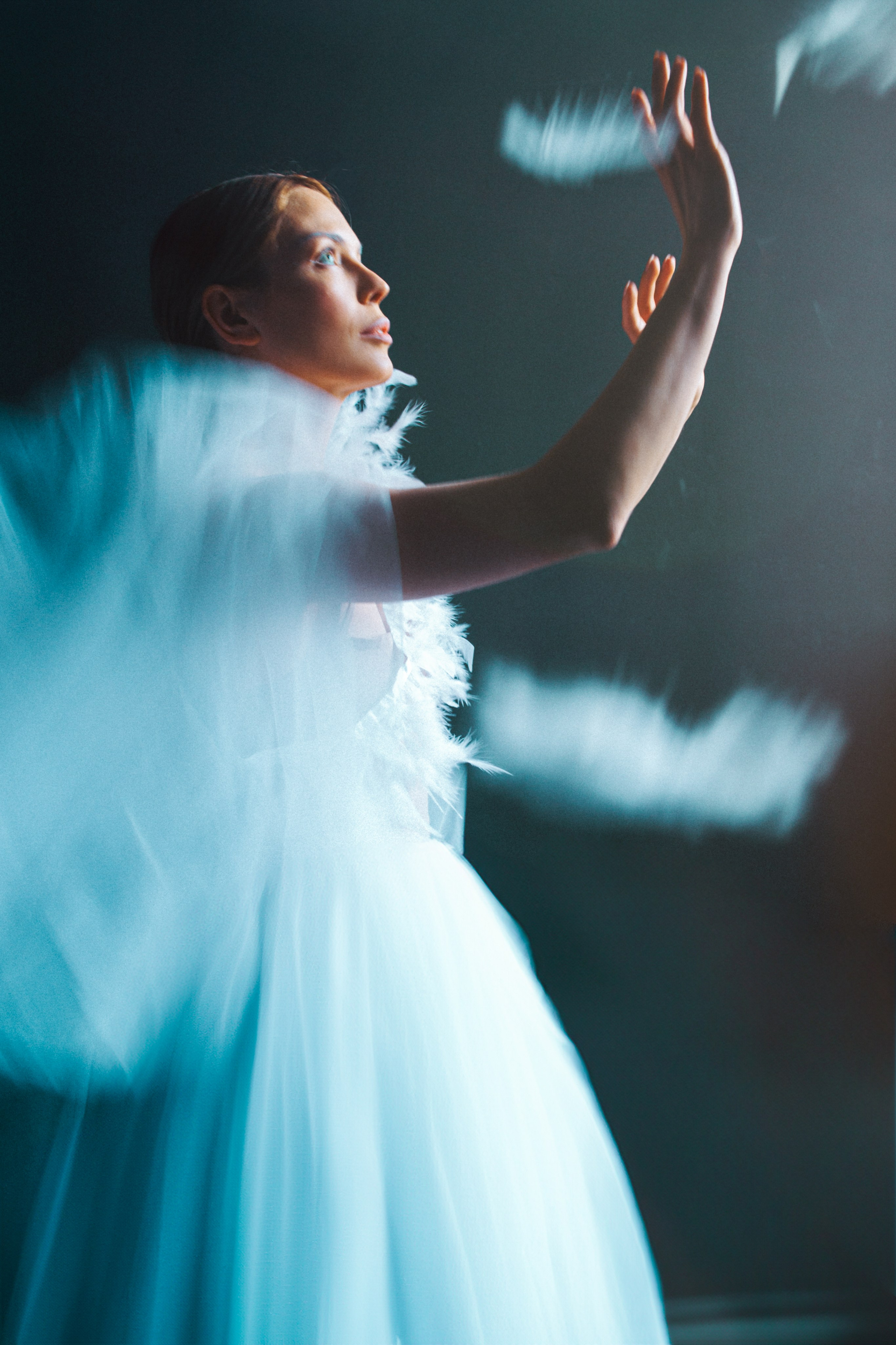 SWAN. Настоящие портреты и истории