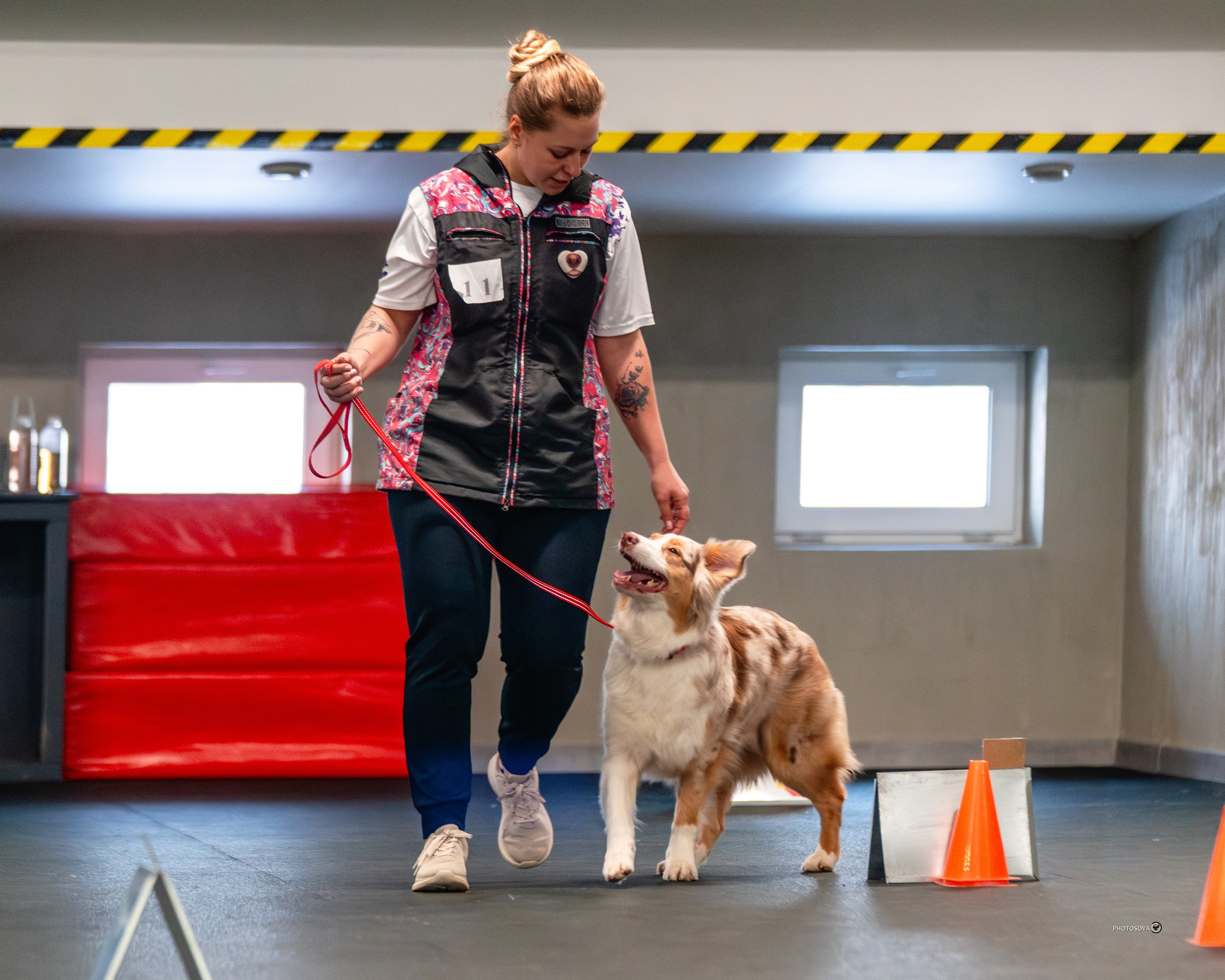 ТЫ И Я (соревнования по ралли-обидиенс). Фотограф-анималист, семейный фотограф в Москве и Подмосковье. Фотосъёмка кинологических дисциплин