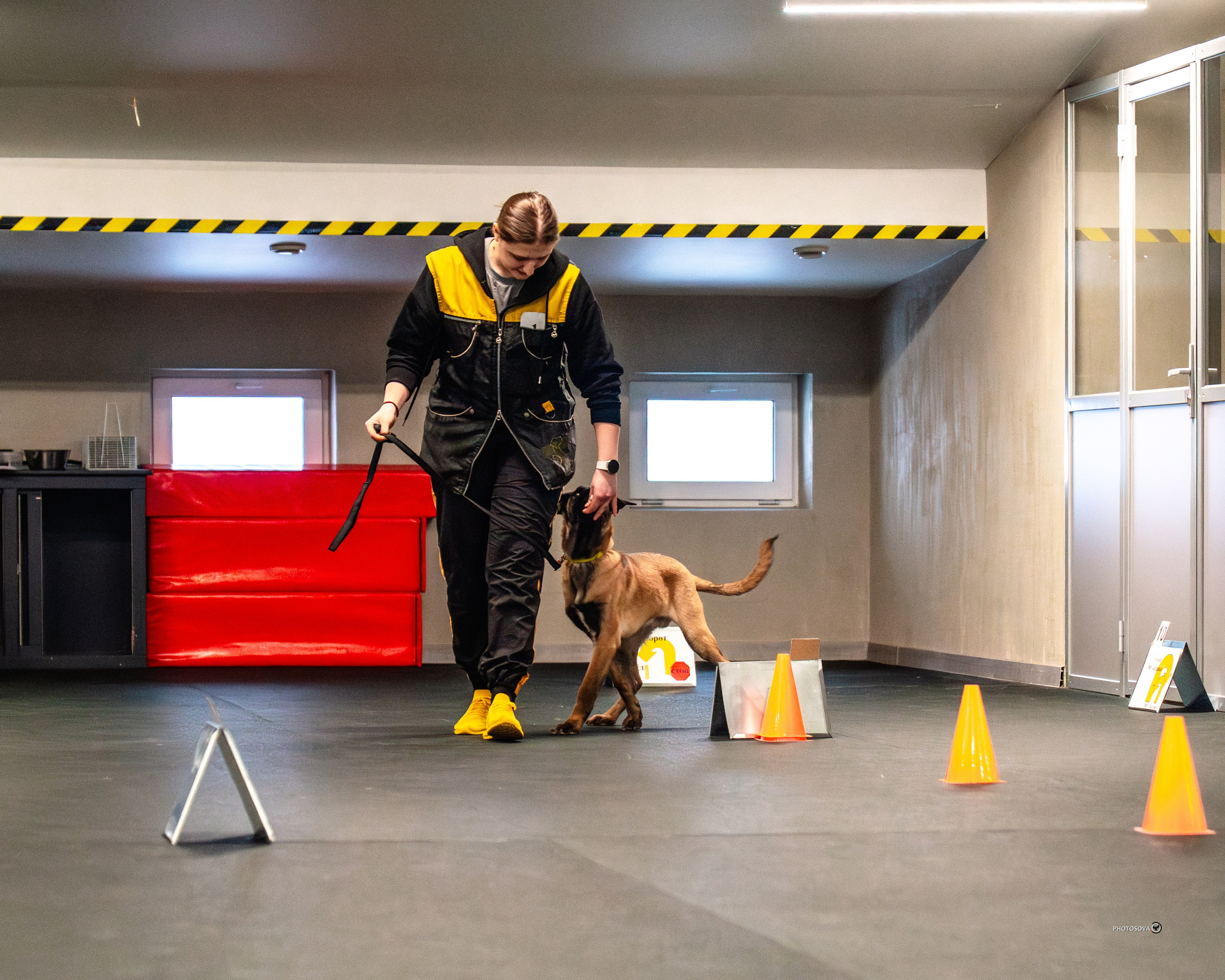 ТЫ И Я (соревнования по ралли-обидиенс). Фотограф-анималист, семейный фотограф в Москве и Подмосковье. Фотосъёмка кинологических дисциплин