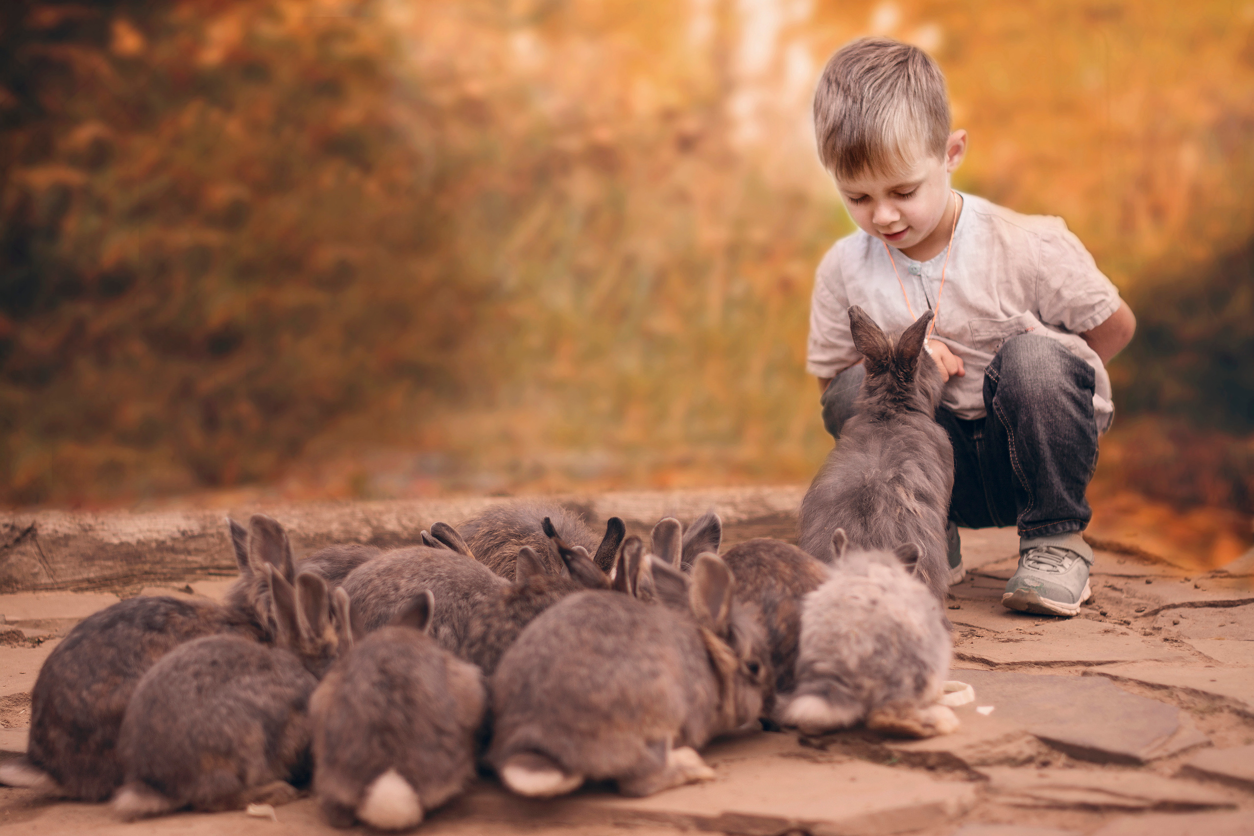 Осень. Свадебный фотограф Москва Истра Звенигород Нахабино