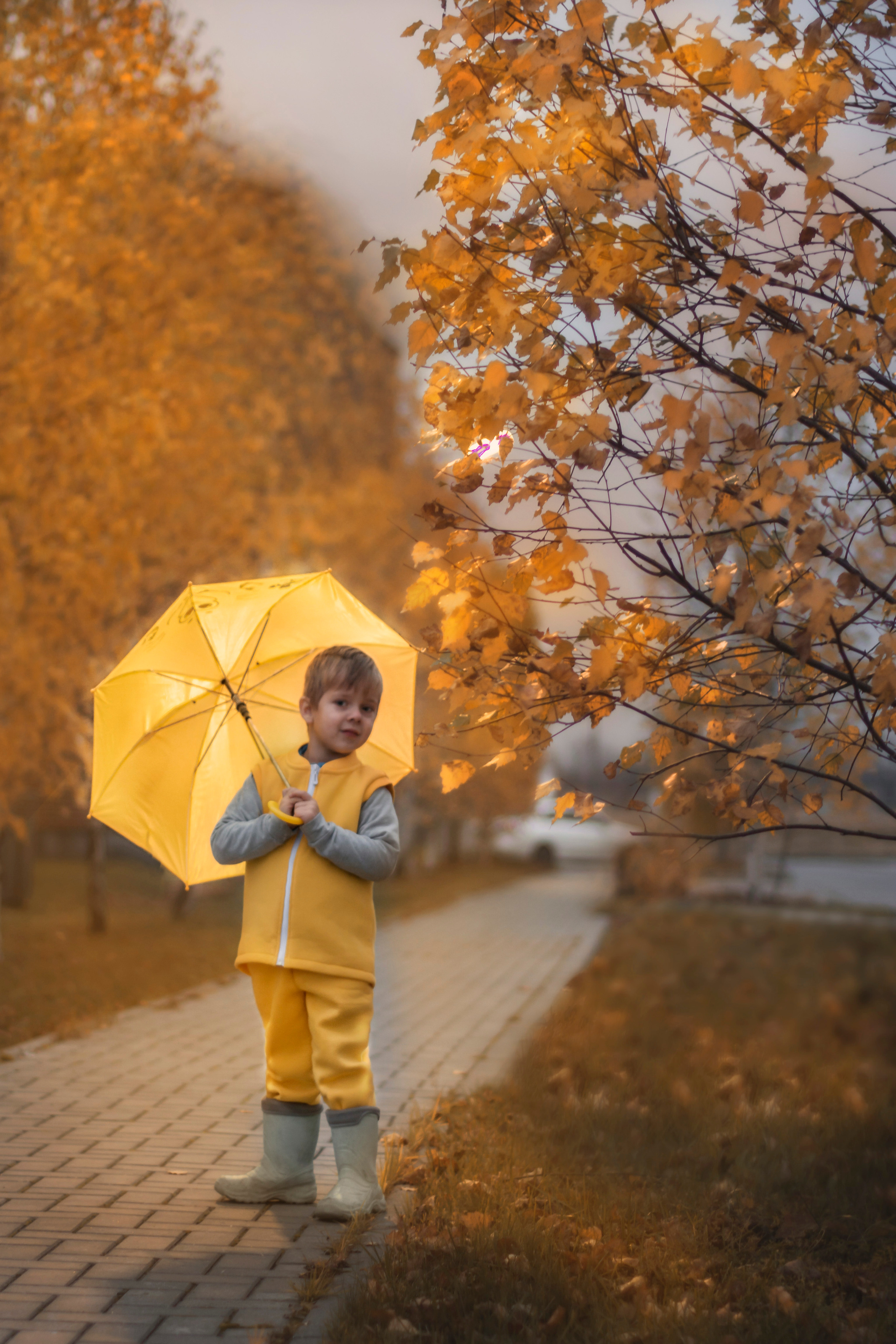 Осень. Свадебный фотограф Москва Истра Звенигород Нахабино