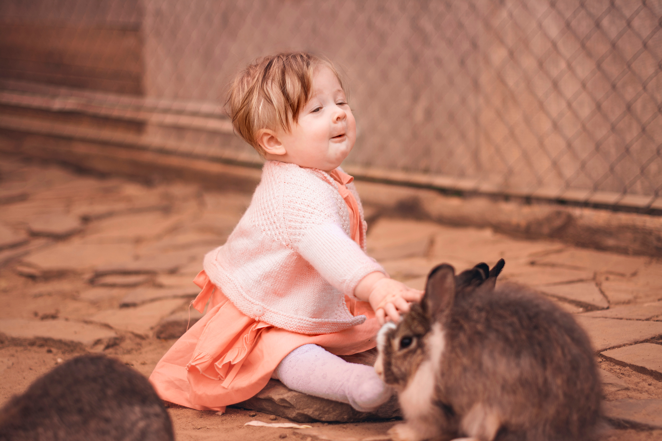 Осень. Свадебный фотограф Москва Истра Звенигород Нахабино