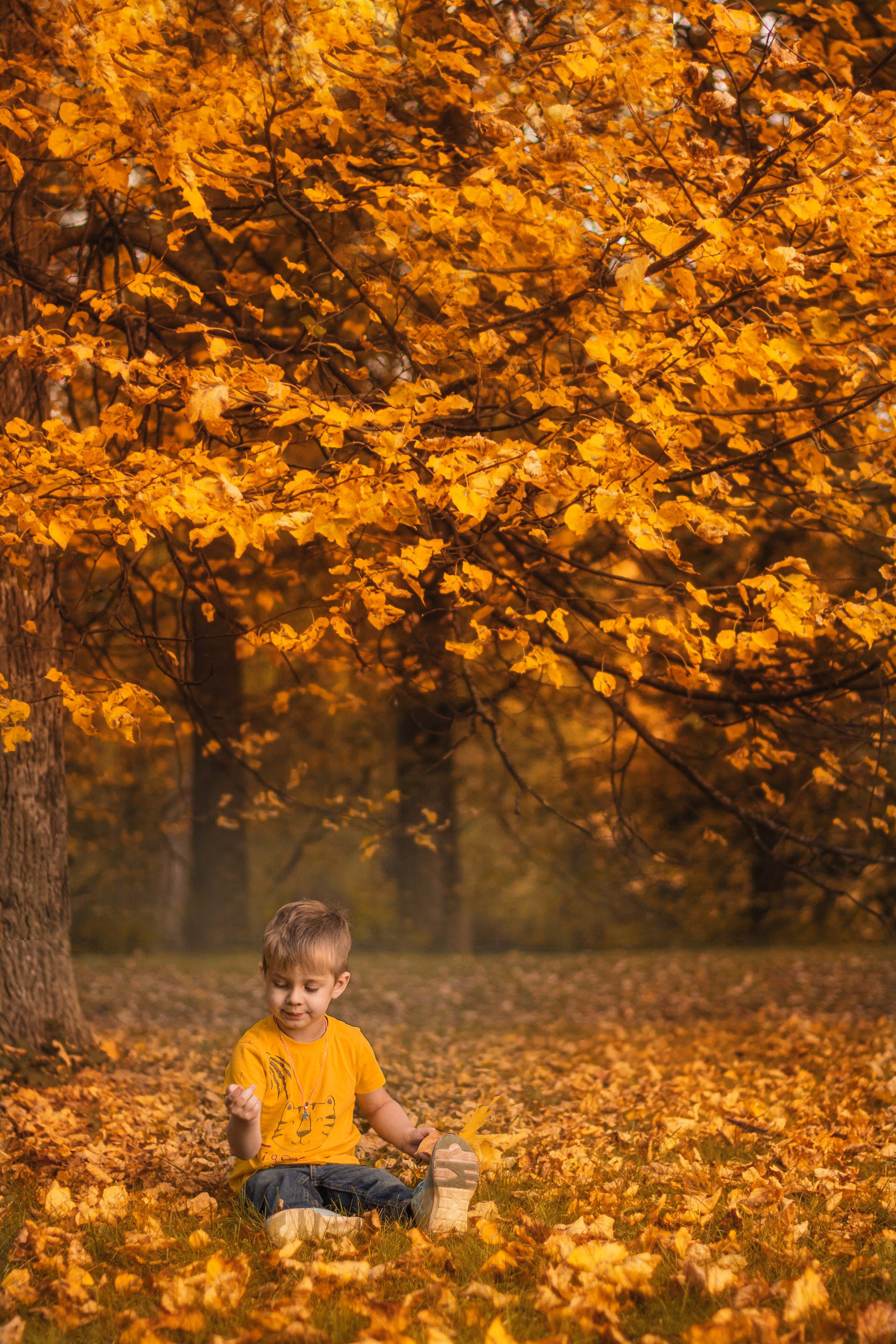 Осень. Свадебный фотограф Москва Истра Звенигород Нахабино
