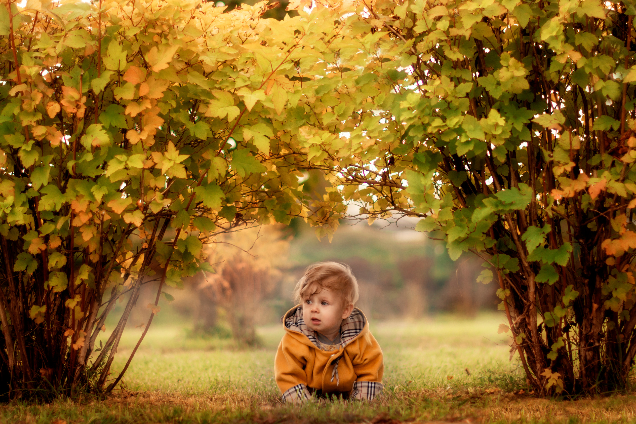 Осень. Свадебный фотограф Москва Истра Звенигород Нахабино