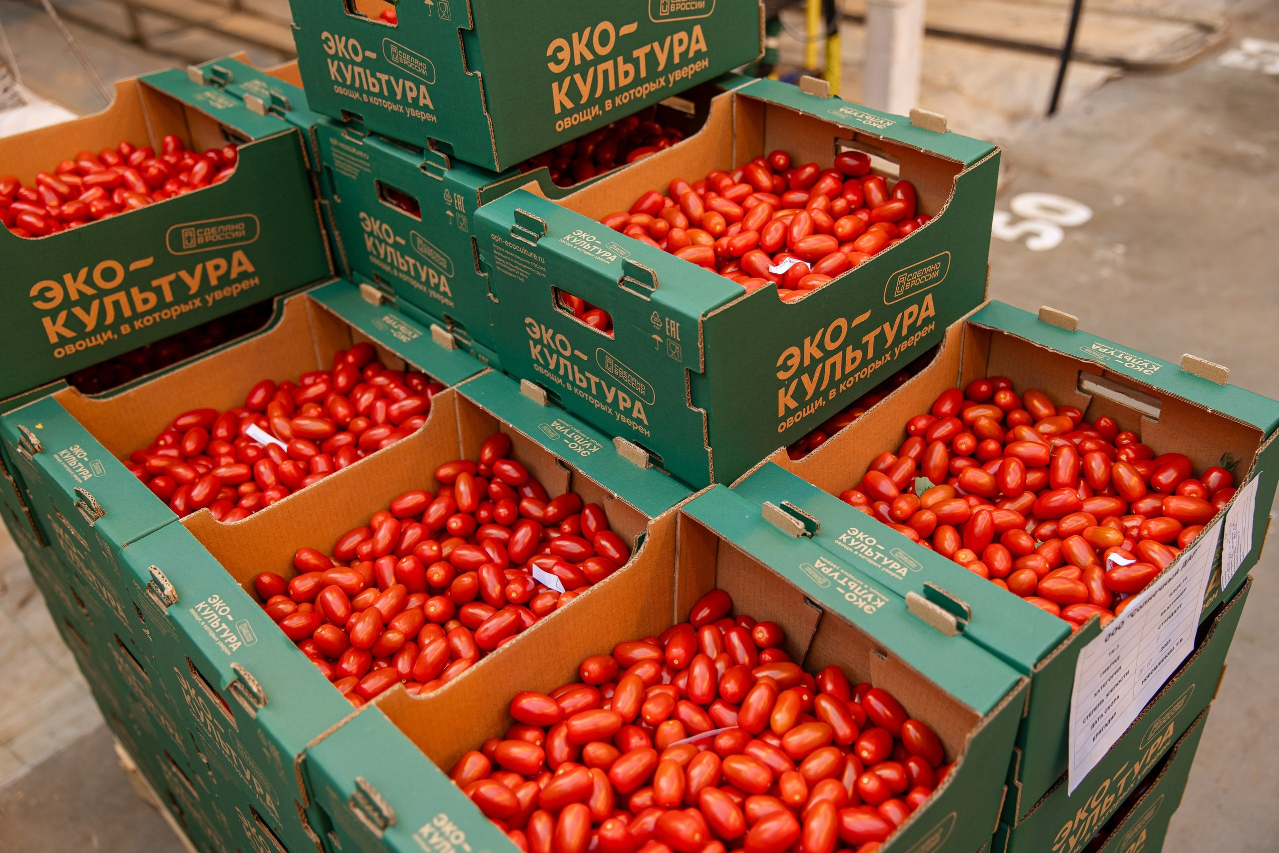 Производство. Фотограф Николай Петрушкин | Ставрополь, Москва