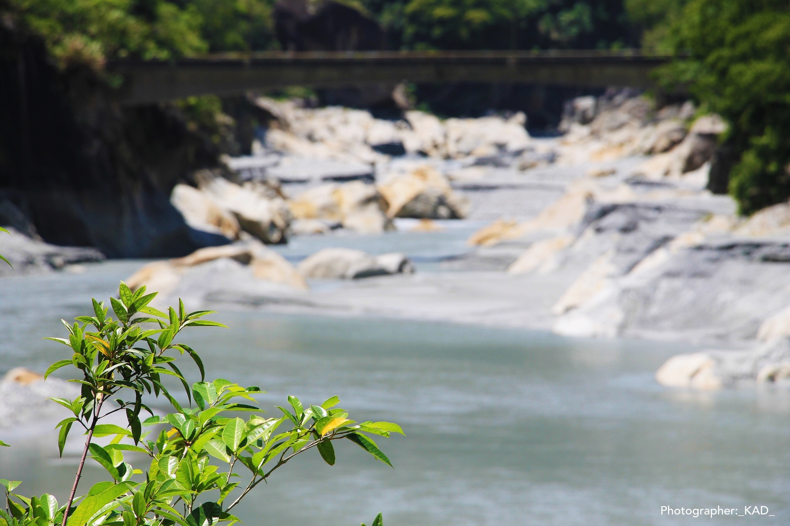 Пейзажи и природа. Photographer K.A.D