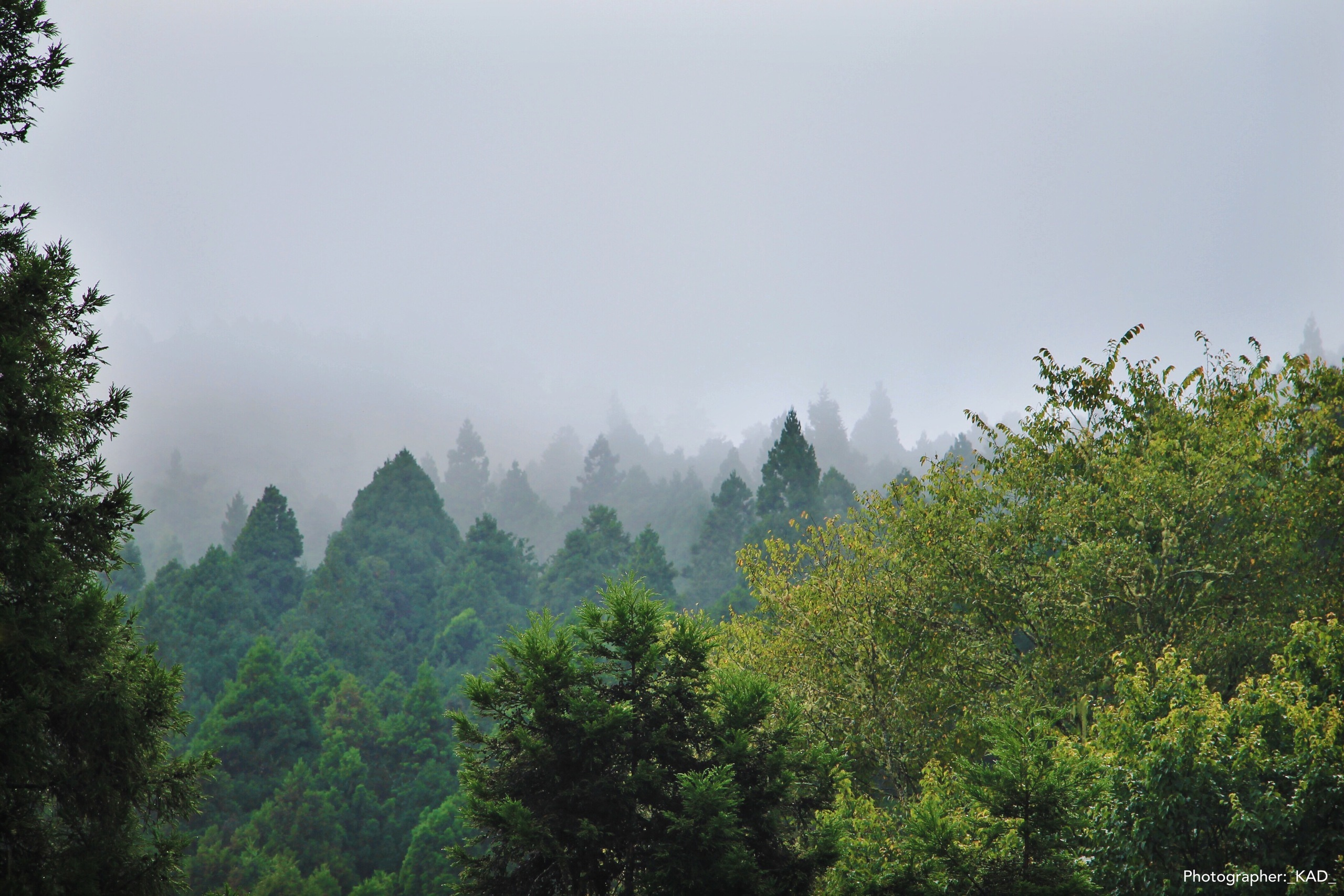 Пейзажи и природа. Photographer K.A.D