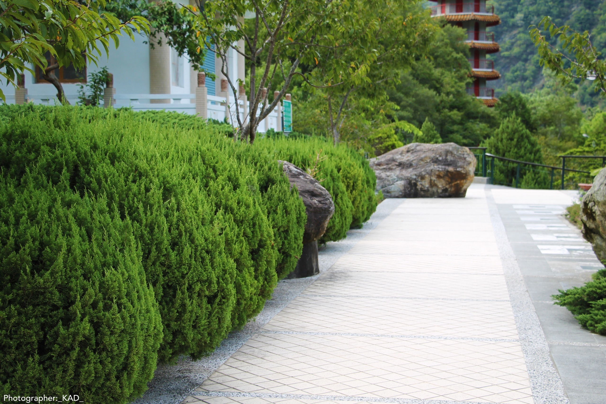 Пейзажи и природа. Photographer K.A.D