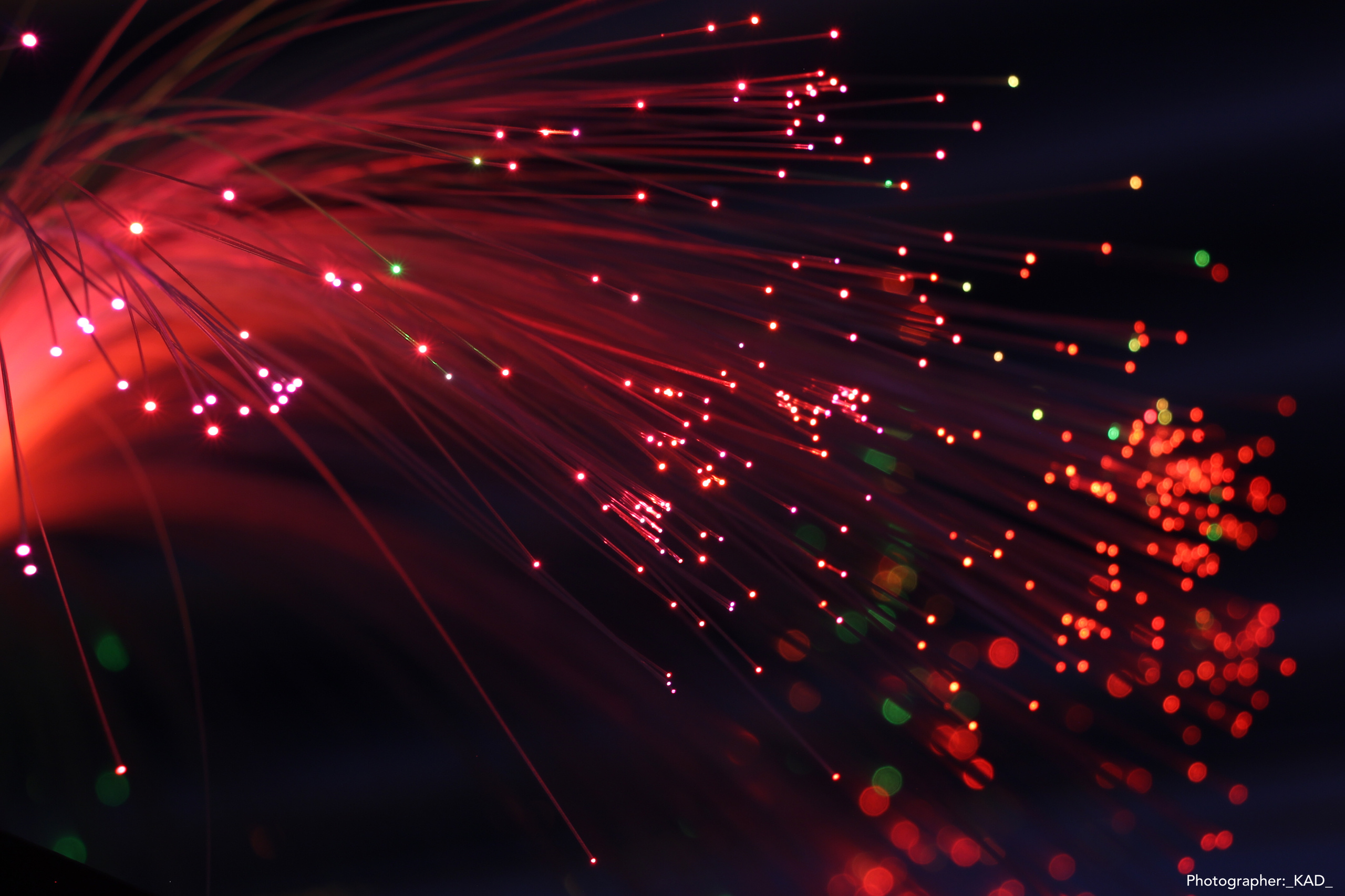 Макросъемка. Photographer K.A.D