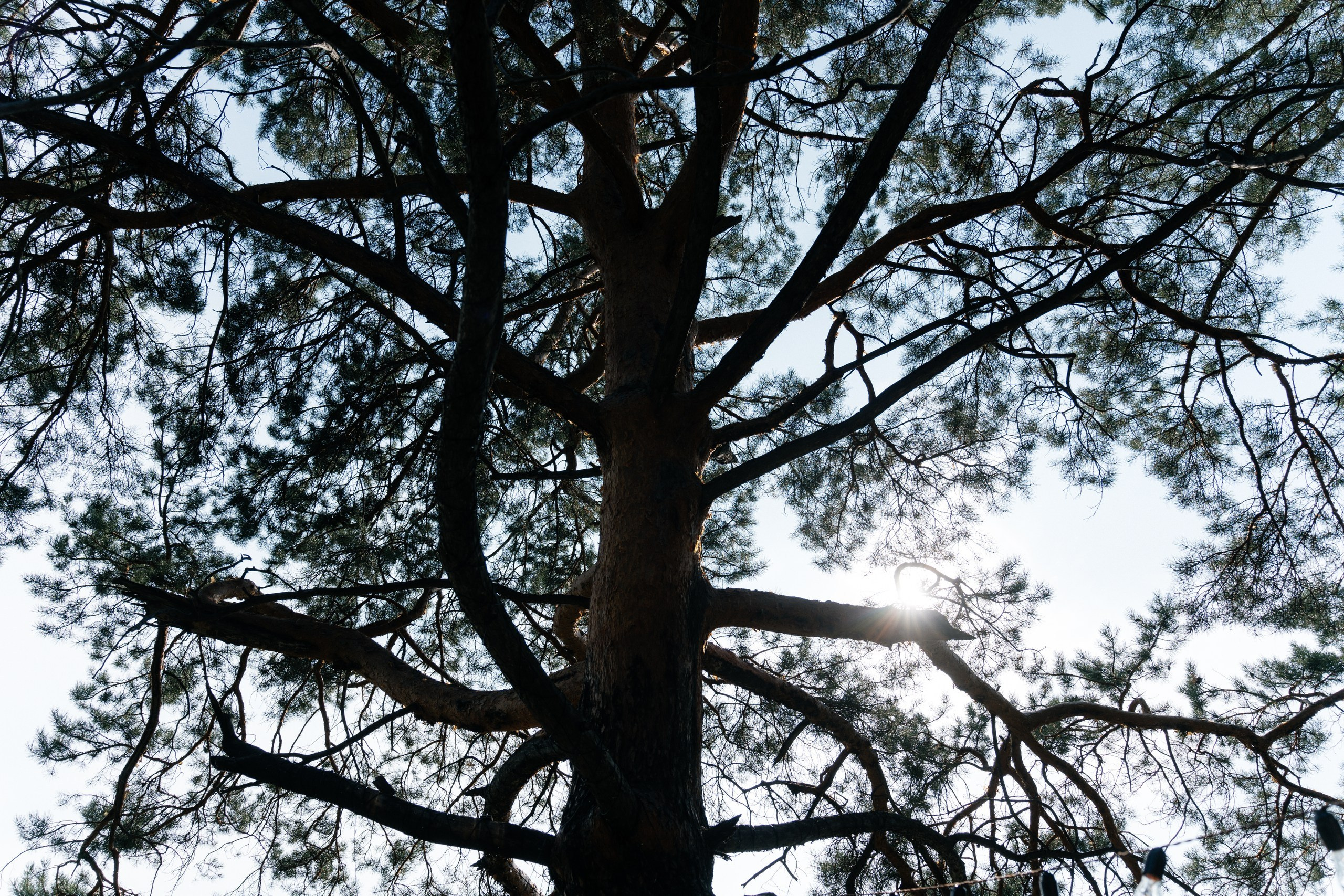 Такие яркие Олеся и Стас. Свадебный Фотограф Чита Малахов Филипп