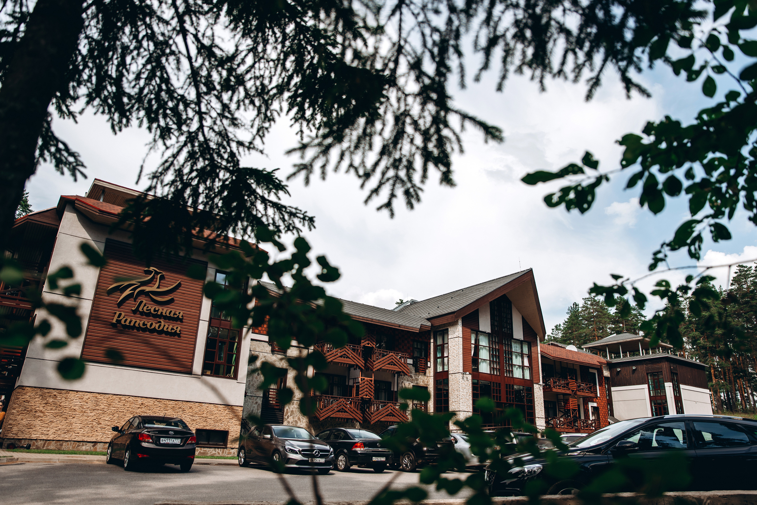 Алексей и Екатерина. Выездная регистрация «Лесная Рапсодия». Зайковский Кирилл