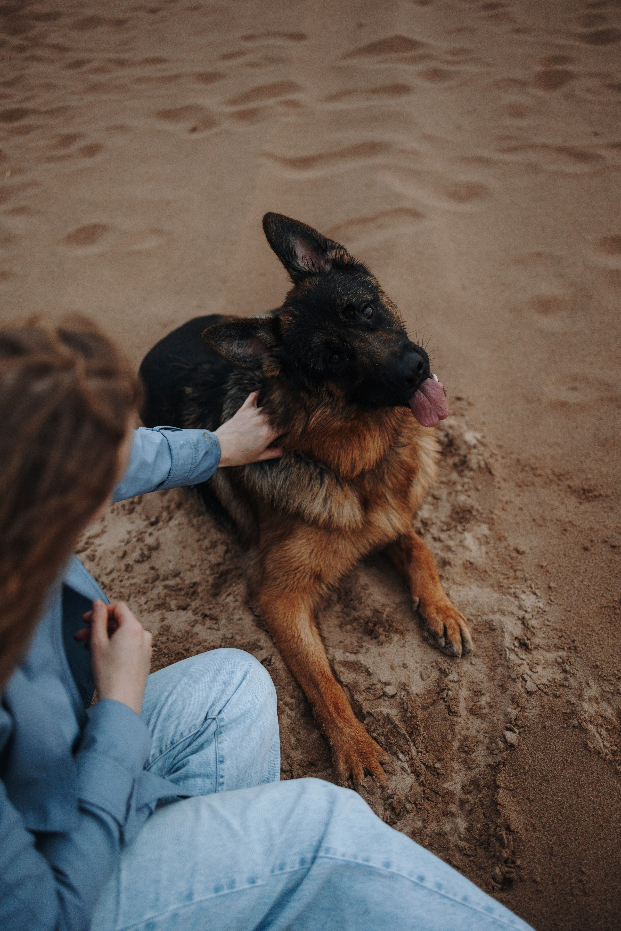 Катя и Агат. Фотограф — Анималист | Санкт-Петербург