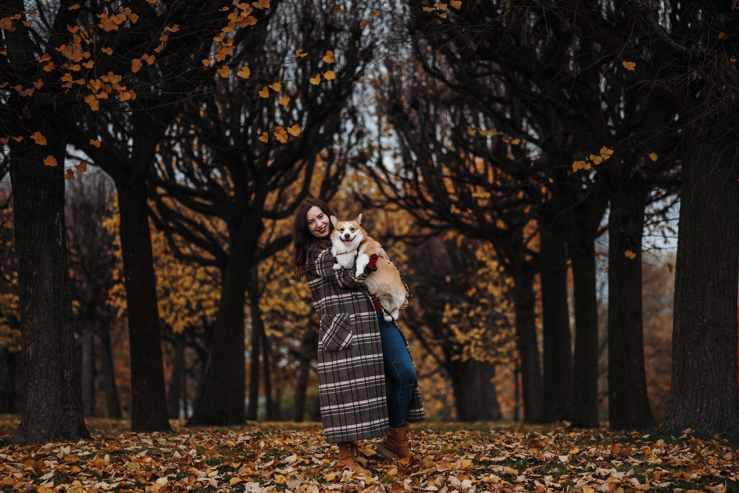 Юля и Терри. Фотограф — Анималист | Санкт-Петербург