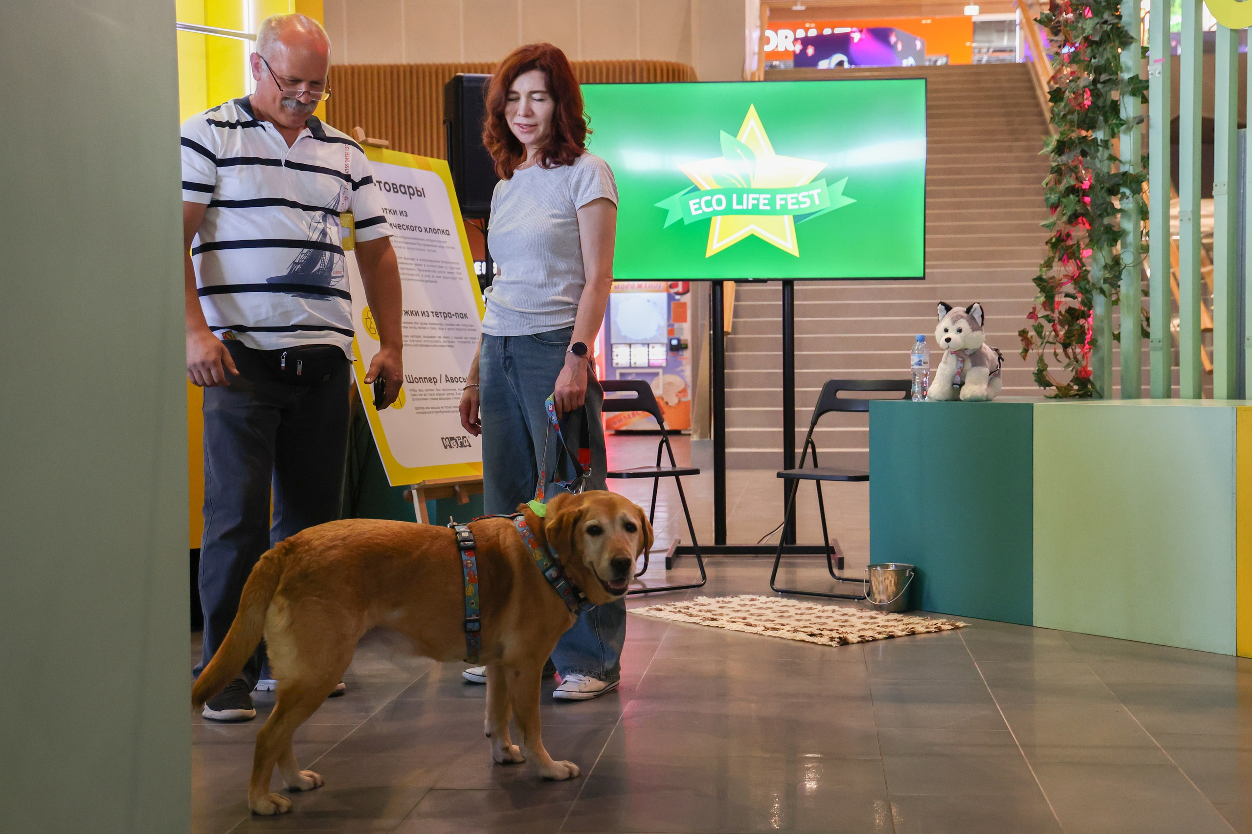 ECO FEST. Фотограф Вадим Бодылев