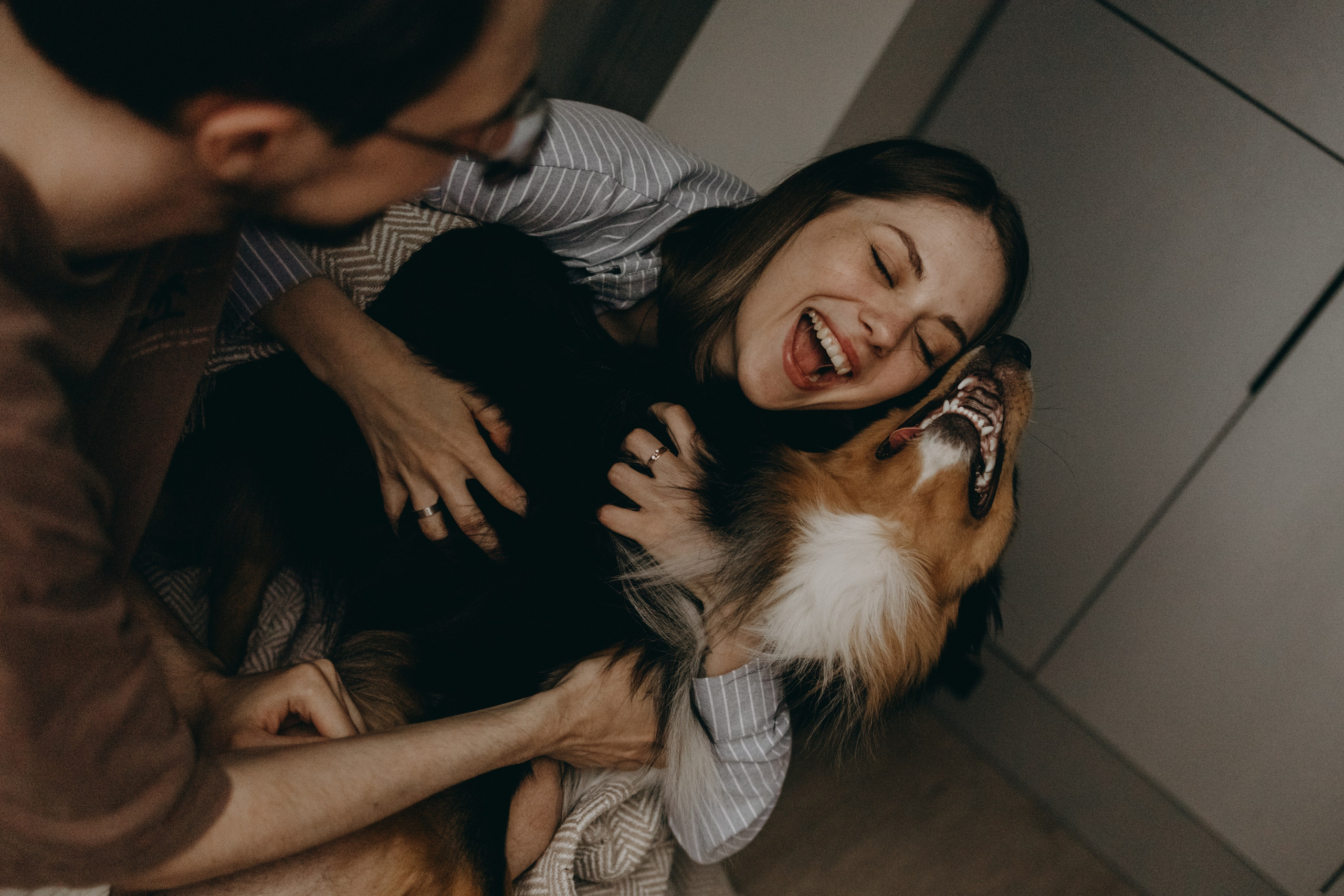 Настя, Никита и их Гром и Мяу. Фотограф — Анималист | Санкт-Петербург