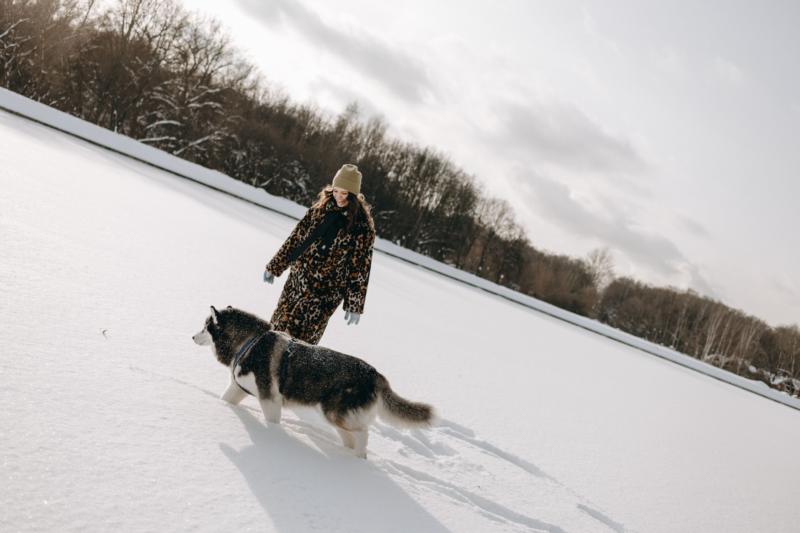 Вегас и его семья. Фотограф — Анималист | Санкт-Петербург