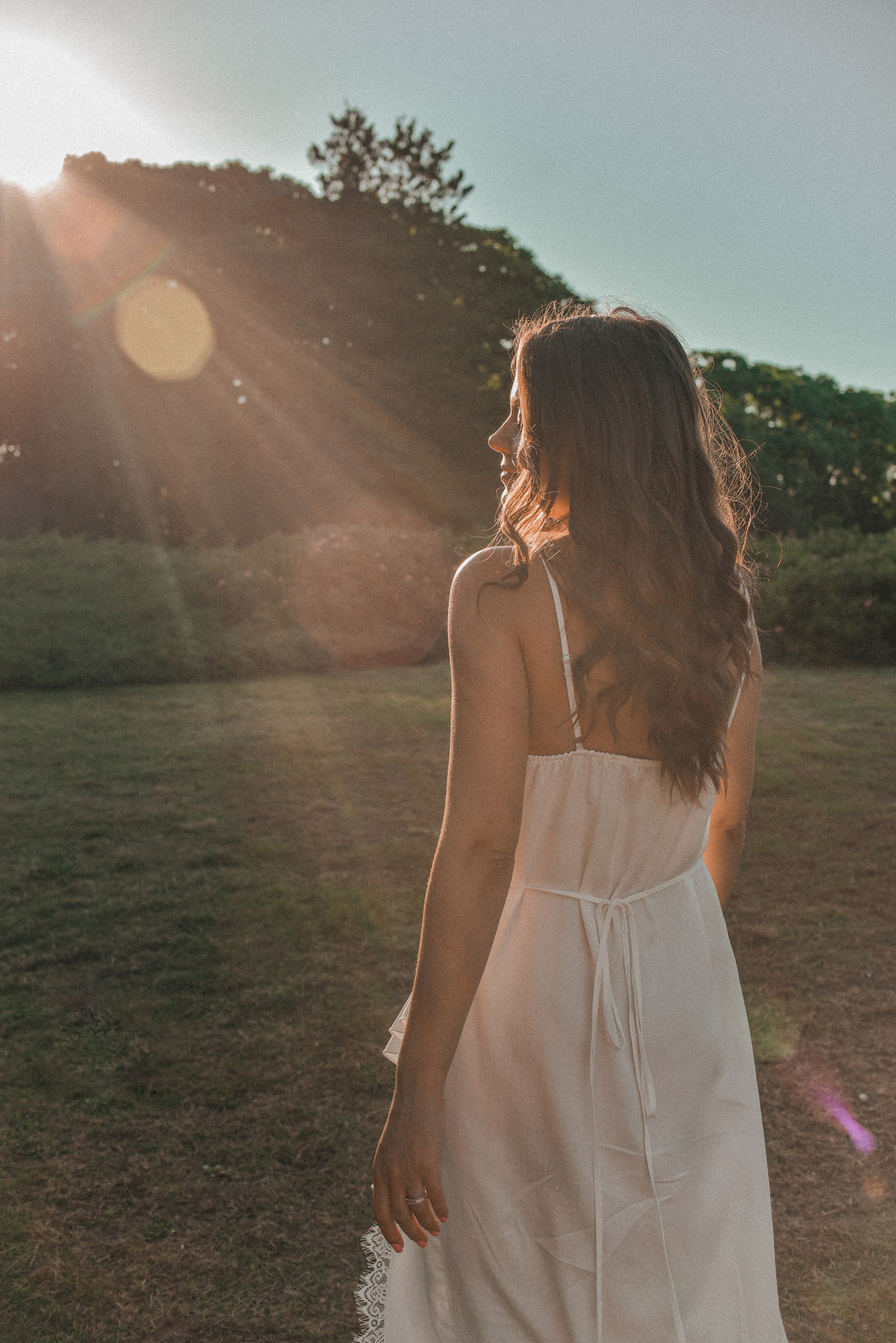 Розовая роща. Семейный фотограф Milena feel it