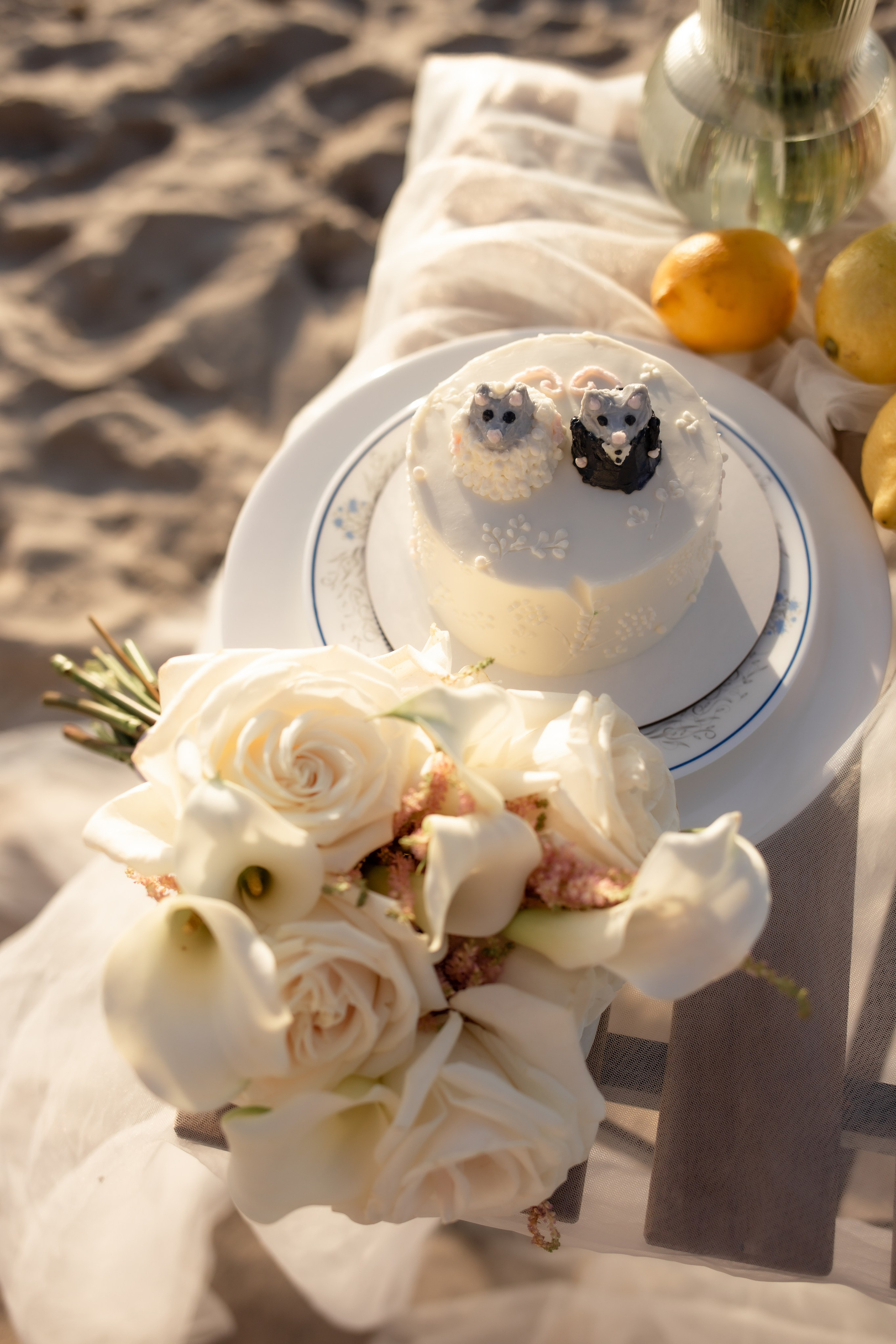 Александра и Влад. На закате. Фотограф в Калининграде Решетникова Алина