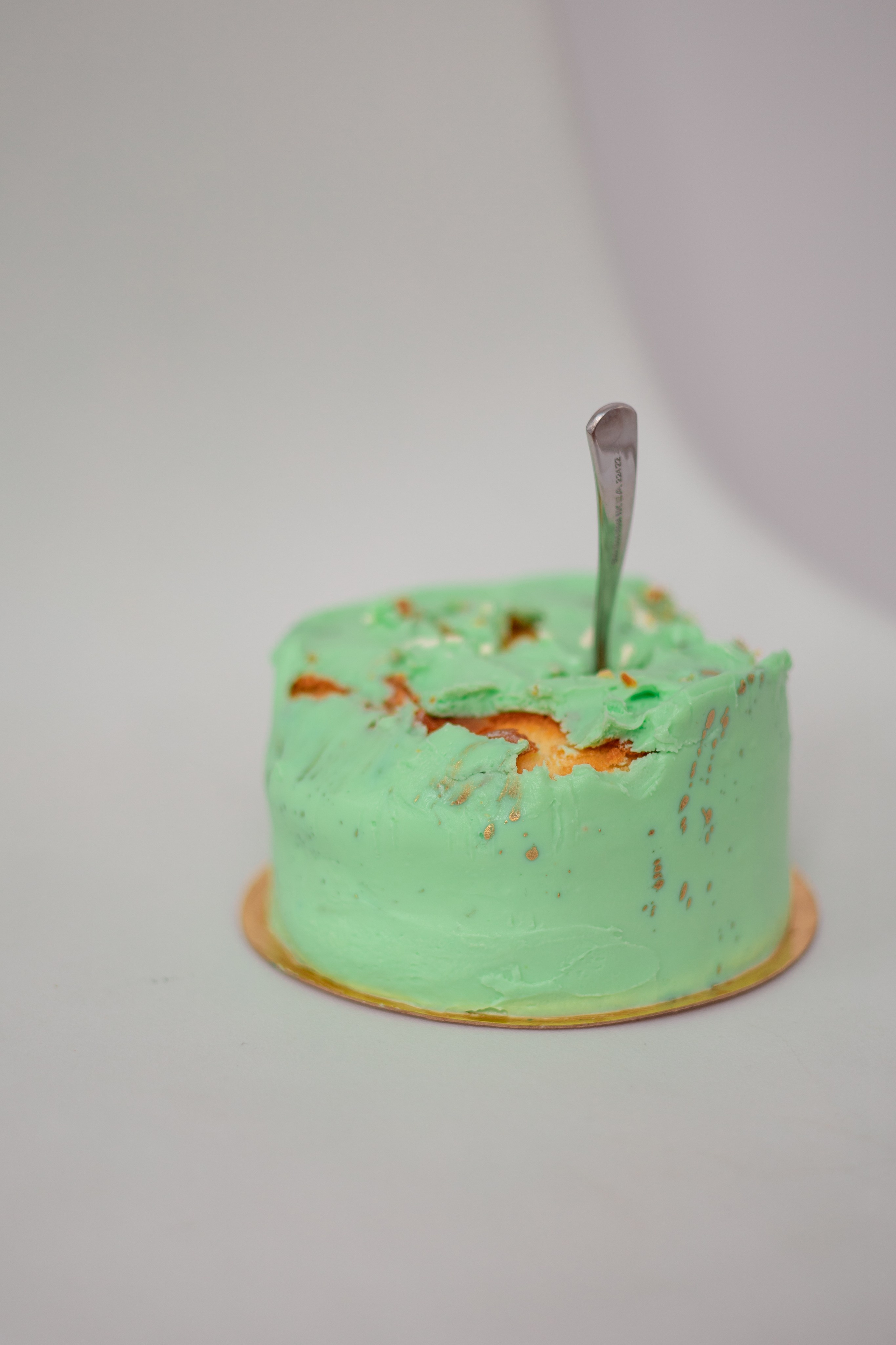 Кириллу 10 лет. Семейный и детский фотограф в Михайловке Татьяна Лестьева