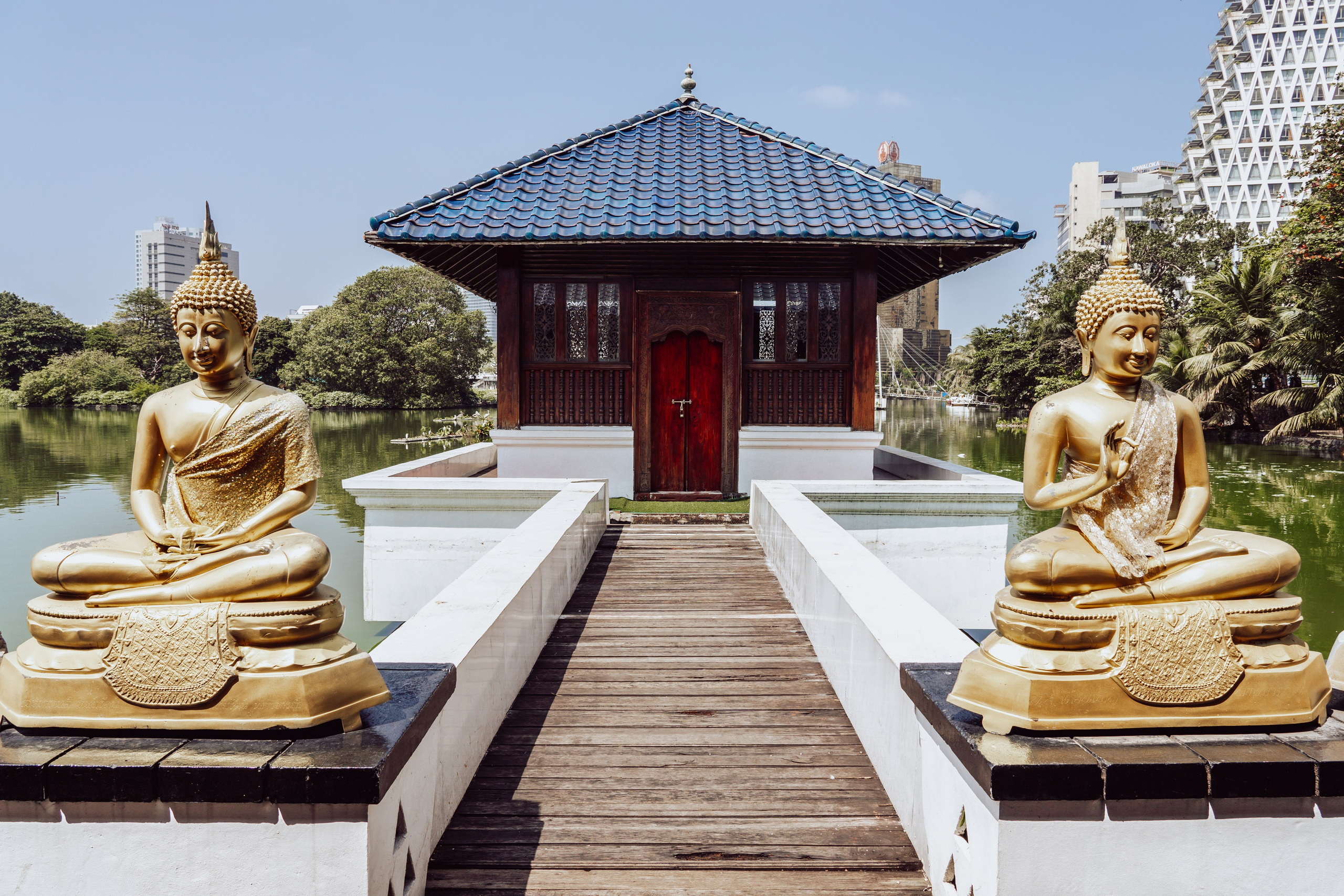 Шри-Ланка 2025. Легкая фотография