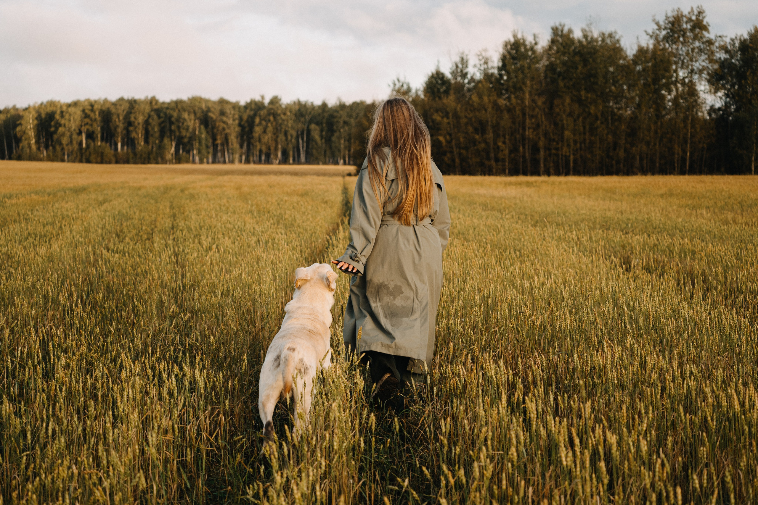 Дана и Арчи. Фотограф-анималист Анастасия Большакова