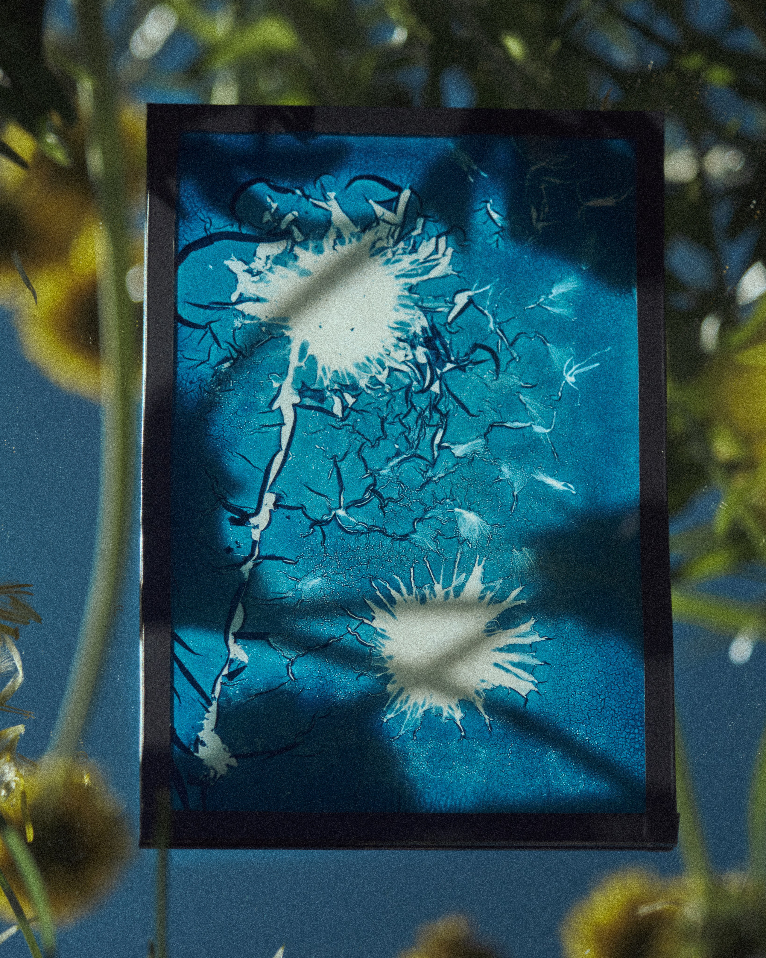 Alternative processe. Maria Norden