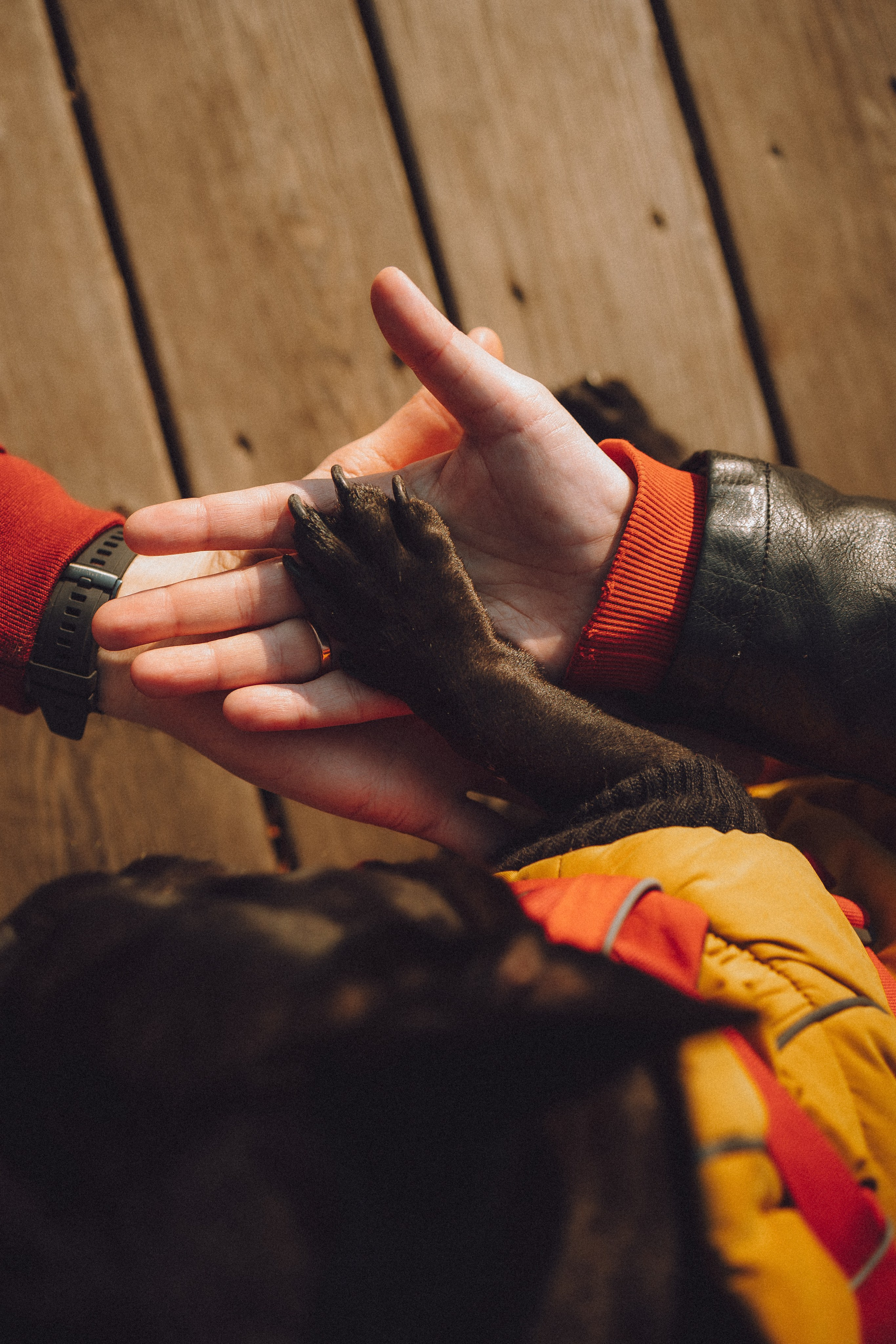 Саша, Дима и Шпуля