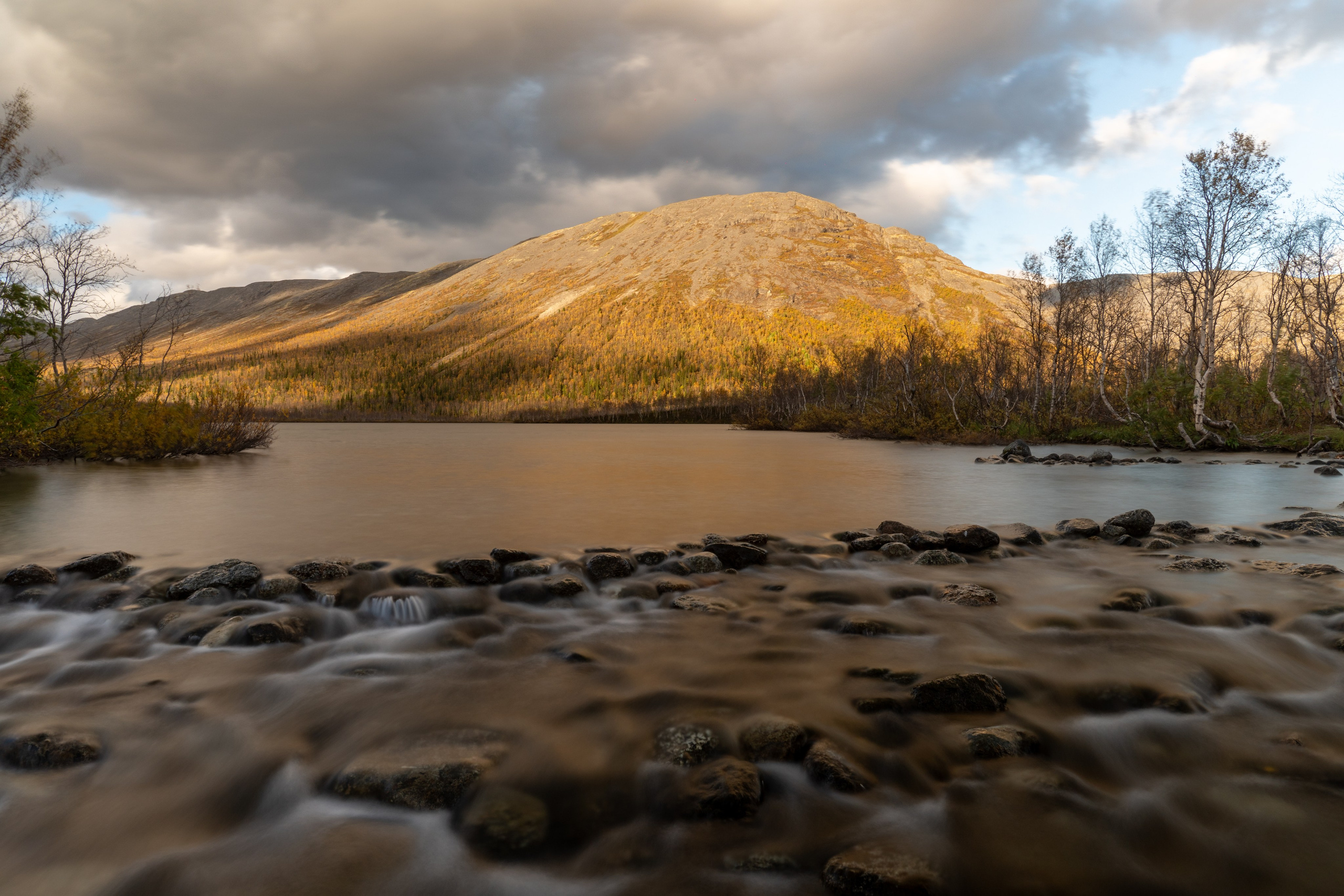 Золотая осень в Хибинах. Daria wanderer photography