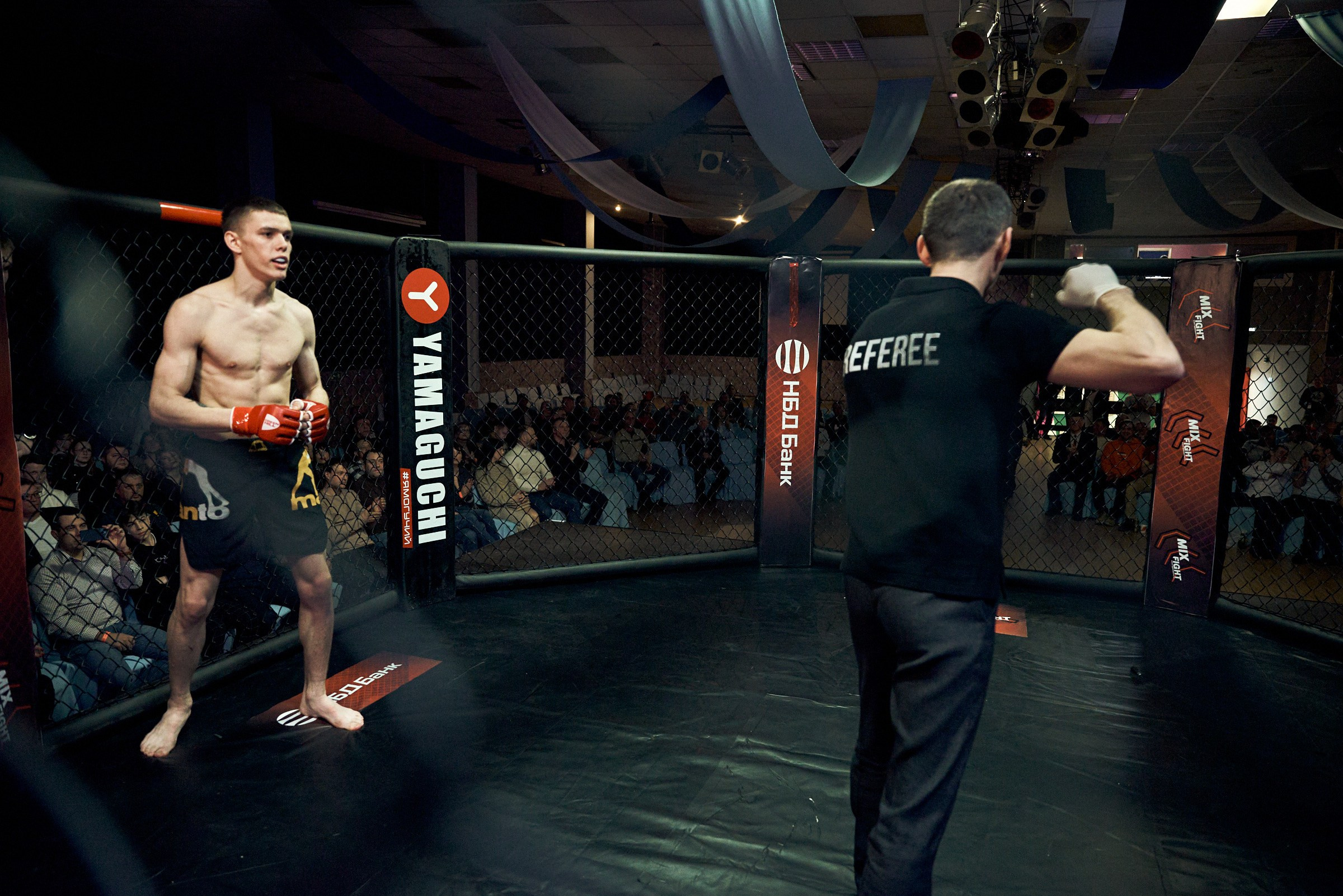 Бои. Маляревич Дмитрий свадебный фотограф