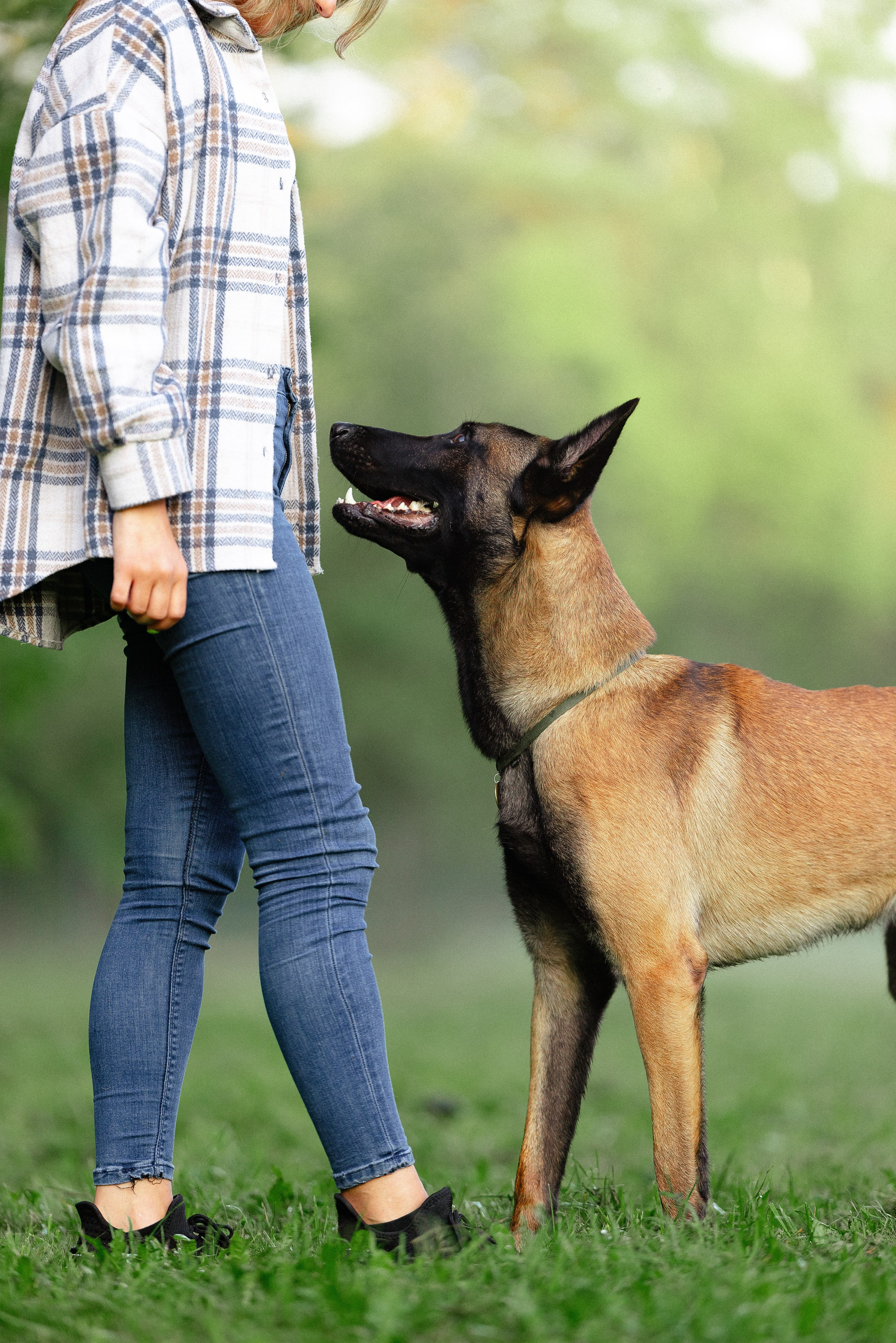 Галина и Кодекс. Фотограф и видеограф анималист Аганина Дарья