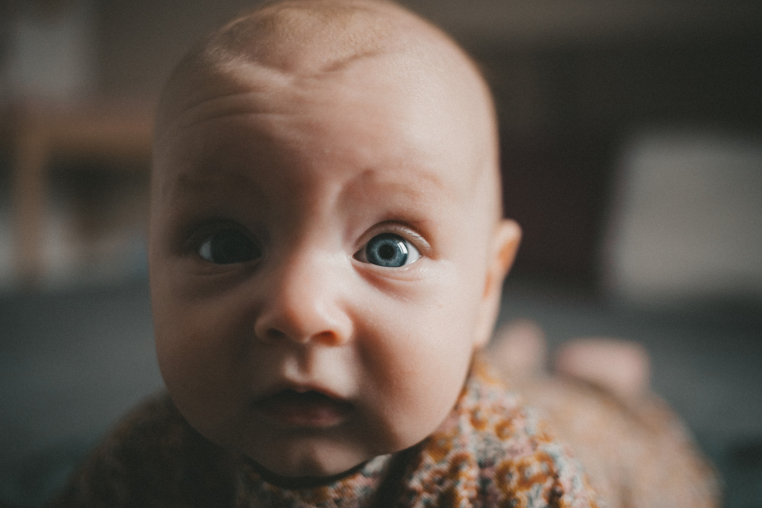 Утром дома хорошо. Фотограф Нижний Новгород