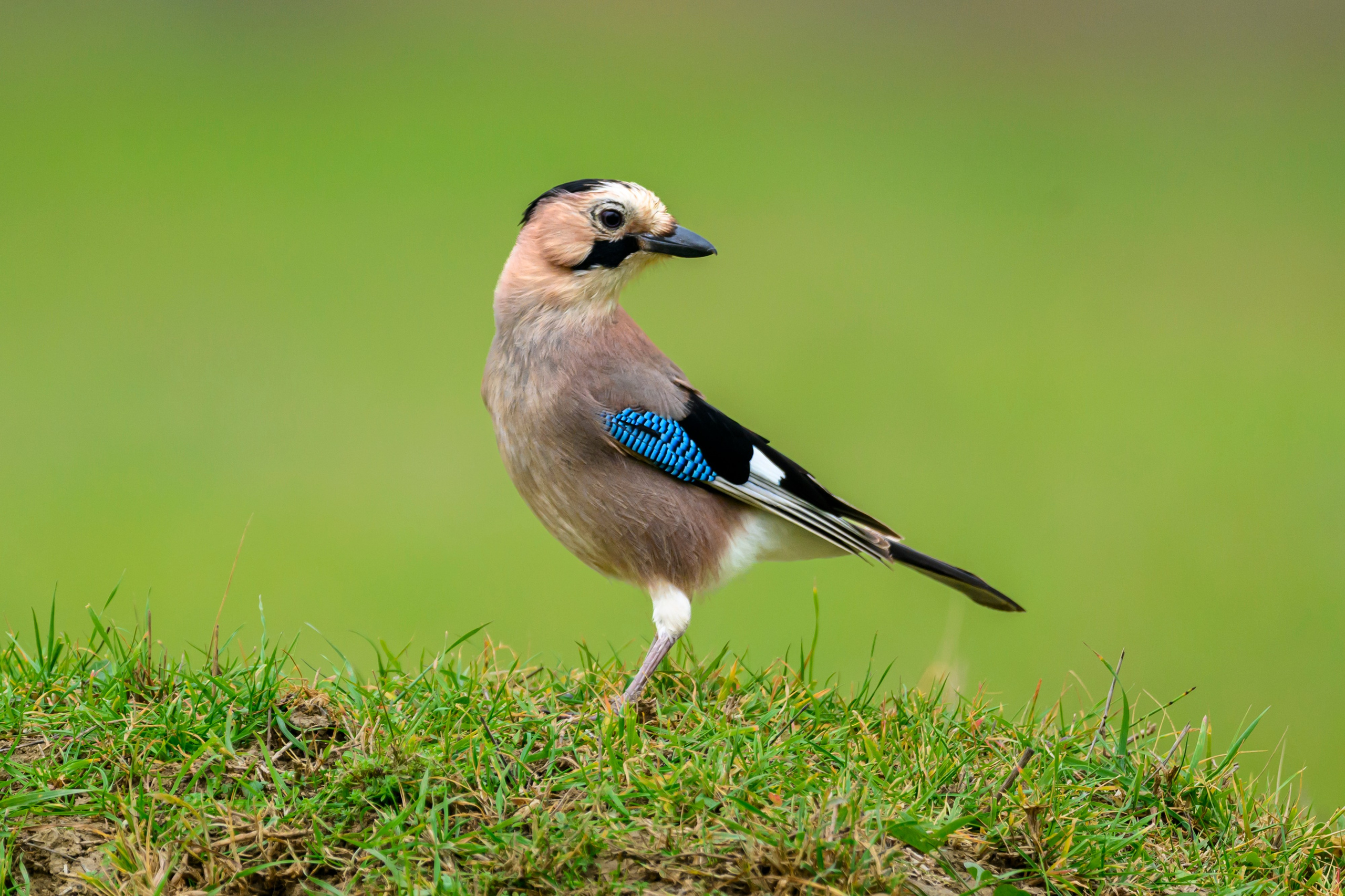 Дагестан. Ноябрь 2025. Фотограф Сергей Пупонин
