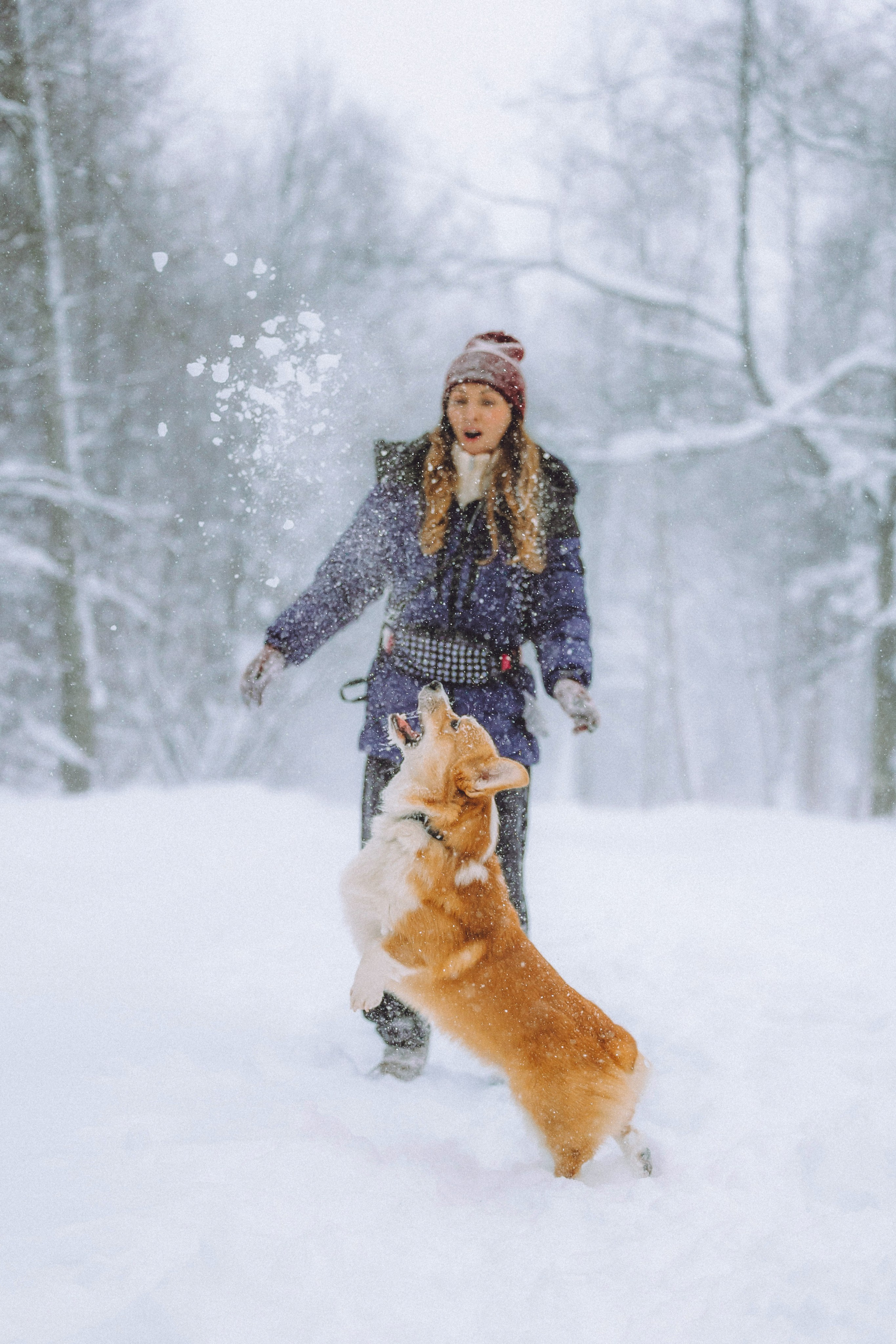Юля и Юпитер