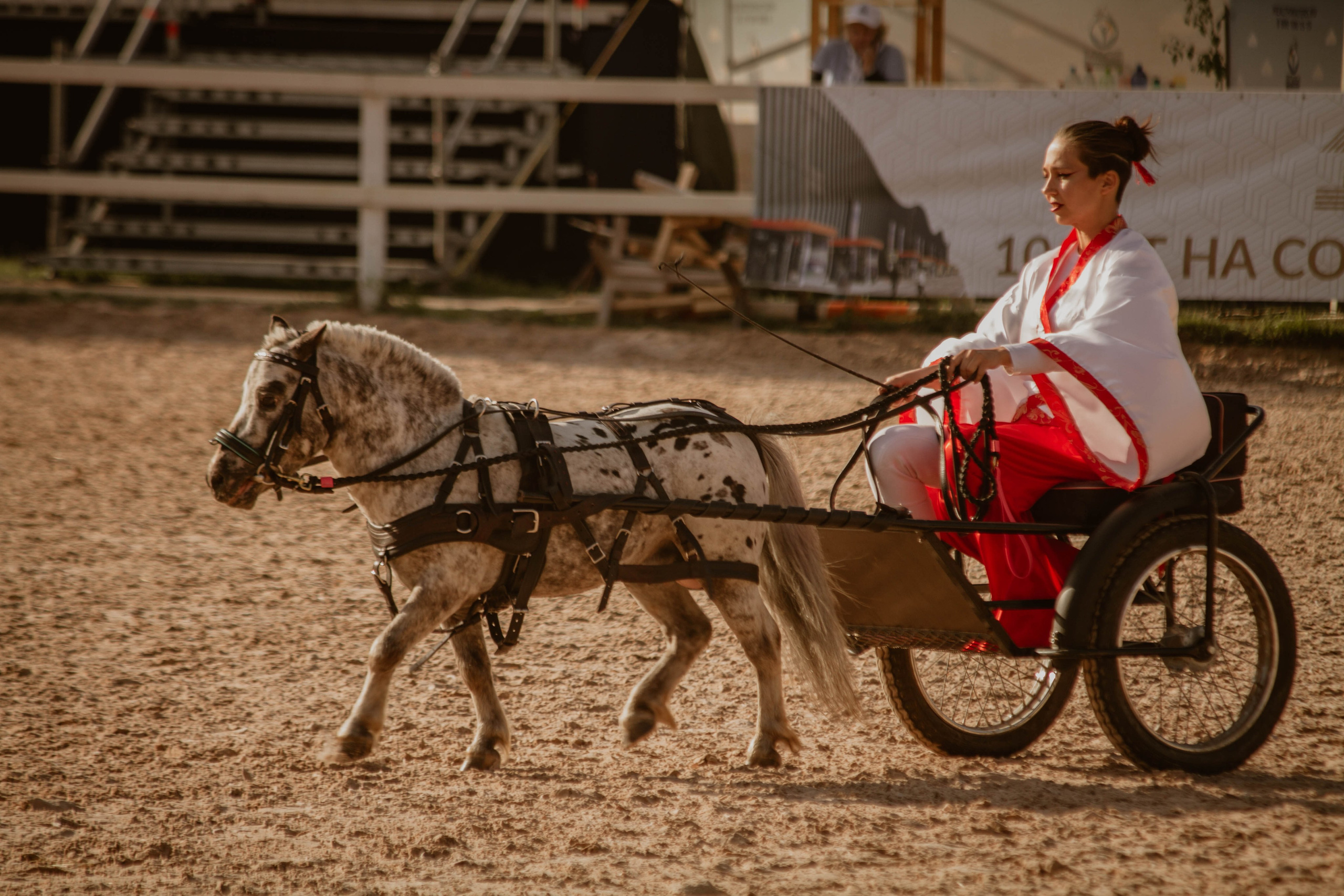 ИППОСФЕРА — Международная конная выставка. Создадим шедевр? Виталина и её фотоискусство