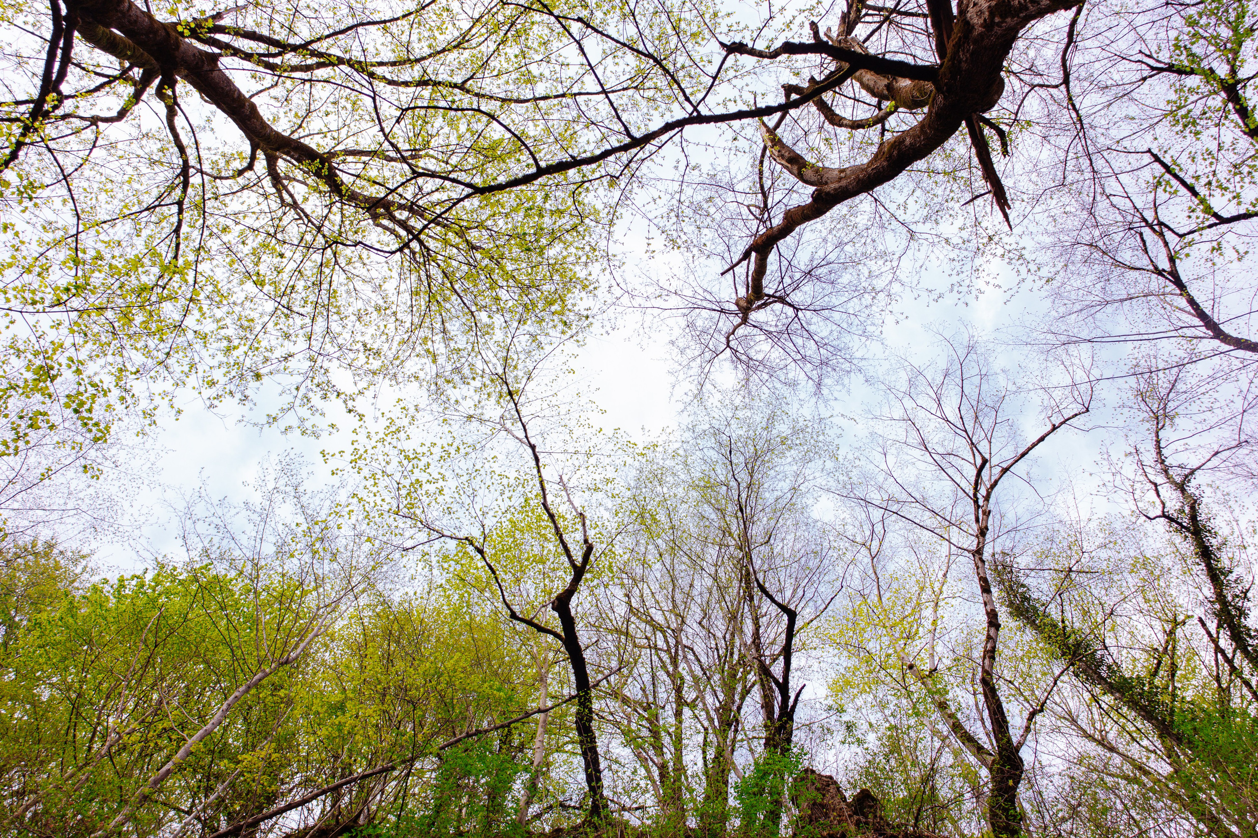 Адыгея. Водопады Руфабго 13.04.24. Фотограф katya_vkadre Таганрог