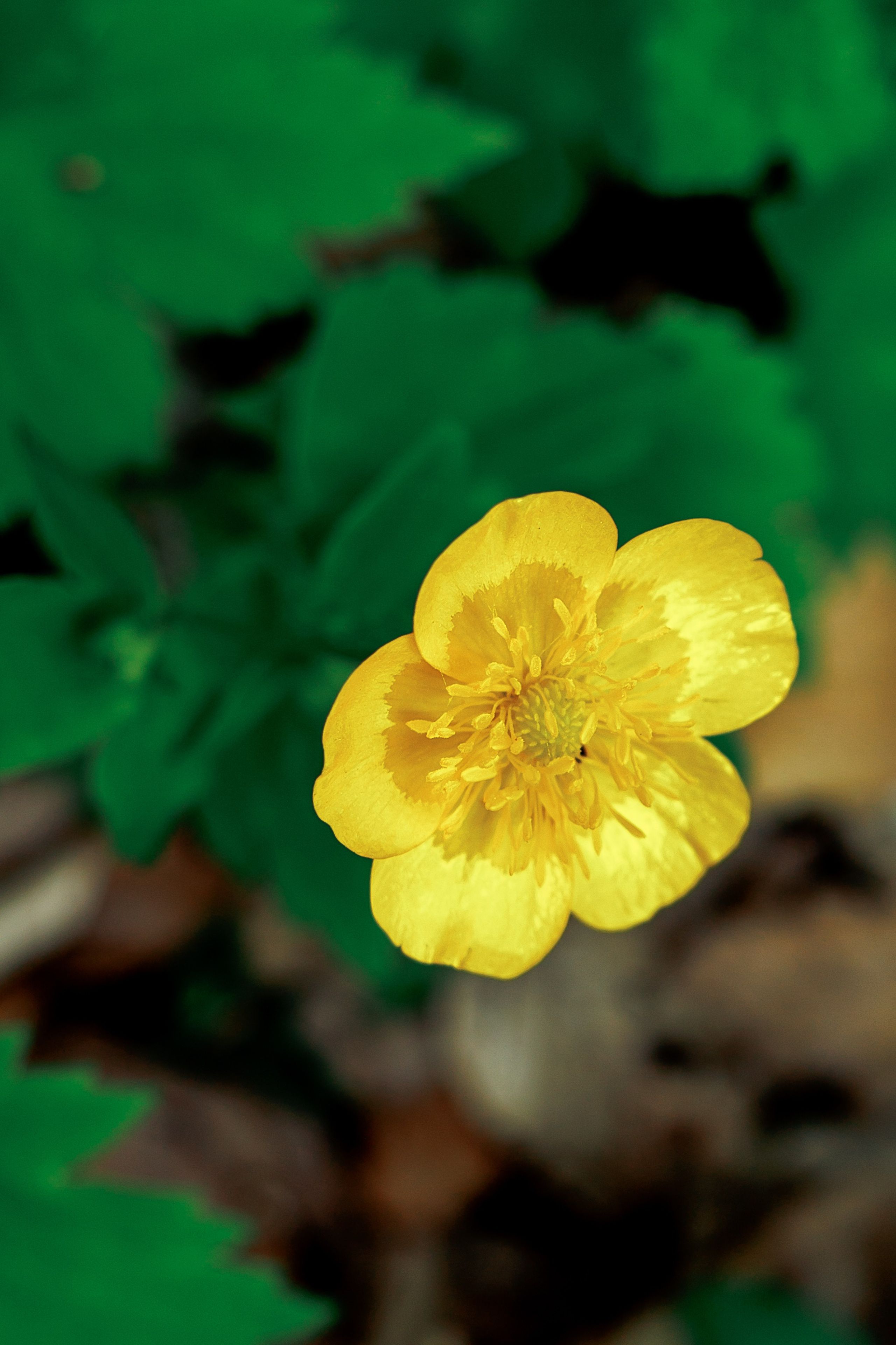 Адыгея. Водопады Руфабго 13.04.24. Фотограф katya_vkadre Таганрог